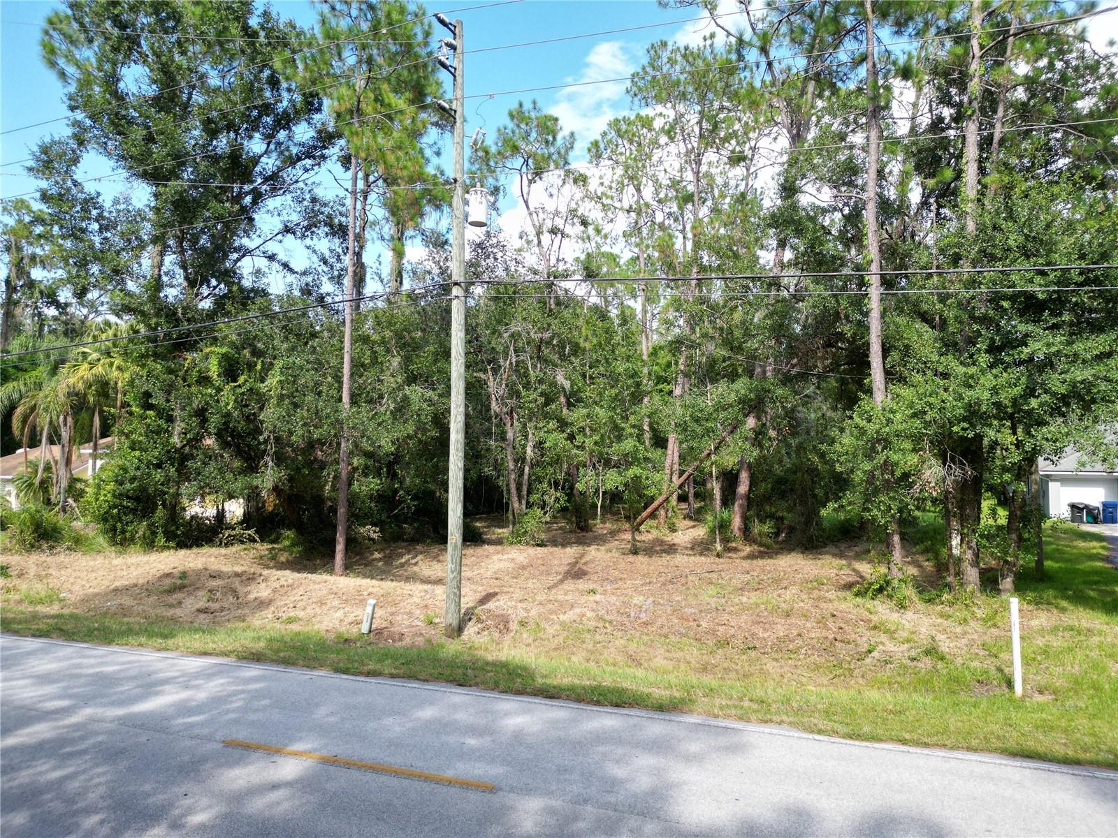 Was pending and because of buyers funds type. buyers fault
Welcome to Quail Hollow Estates, where your dream home can become a reality on this expansive lot of nearly three-quarters of an acre. This prime parcel is located in one of the most sought-after and rapidly developing areas in the entire Tampa Bay region, offering an ideal mix of urban convenience and country charm.

You'll be just a short drive away from the vibrant "Grove" at Wesley Chapel shopping center, which features the latest stores and a cutting-edge movie theater. Nearby, the renowned "Krates" shopping center boasts a diverse array of culinary delights from around the globe. Whether you're in the mood for an award-winning burger from "Bacon Boss" or crave the flavors of Latin fusion, Quail Hollow Estates puts an international dining experience at your doorstep.

This property comes with home plans from pervious owner and a permit for a septic tank, allowing you to bypass some of the initial steps in the building process. Moreover, you can escape the constraints of HOA fees and CDD requirements, giving you the freedom to build your ideal home without registrations With close to 0.69 acres of prime land, the possibilities are endless. Imagine designing your personal oasis, surrounded by lush greenery and tranquility, yet still within easy reach of all the amenities that Wesley Chapel has.

Don't miss out on this rare opportunity. Embrace the perfect blend of city conveniences and a country feel, and make your dream home a reality in Quail Hollow Estates. Seize the chance to live life on your terms in one of the most desirable communities in the Tampa Bay area.
