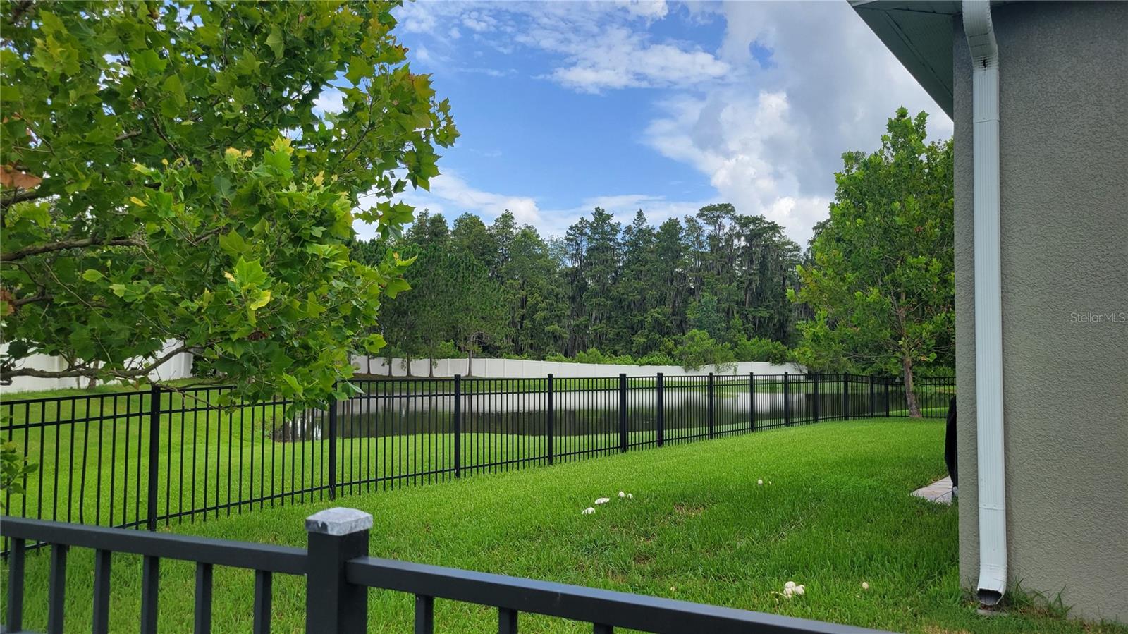 VILLAGE/TRINITY LAKES - Residential Lease