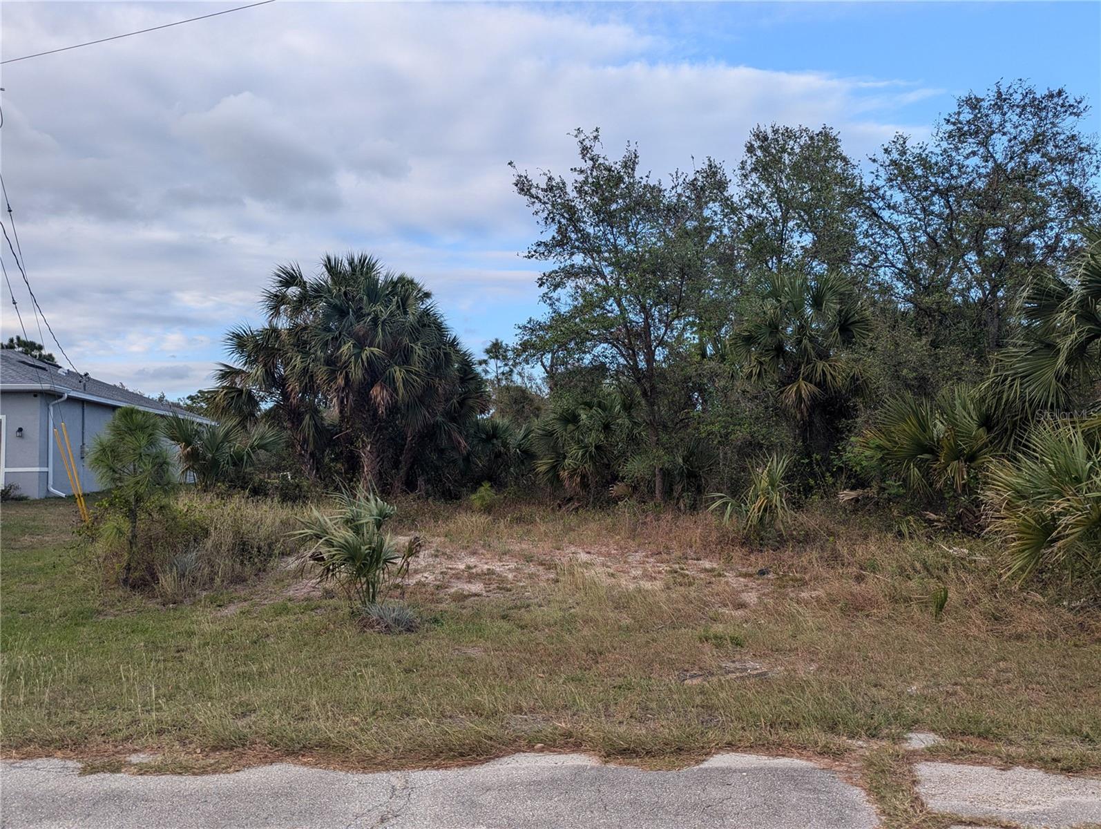 Looking for the perfect place to build your dream home? This developing neighborhood is waiting for you! This oversized corner lot is located between North Port and Port Charlotte so you can enjoy shopping and dining from both areas. Electricity is already available on the lot, providing a huge savings and value to the new buyer ready to build! Like sports? The Tampa Bay Rays spring training stadium, Charlotte Sports Park, is 15 minutes up the road for all those sports fans. For our boating and fishing enthusiasts, launch your boat at Spring Lake Parks boat ramp, 13 minutes away, or Charlotte Beach Public Boat Ramp, about 17 minutes away, both with access to Peace River, Charlotte Harbor and out to the Gulf! World-class fishing is here and waiting for you! Close to I-75 and the Punta Gorda Airport, offering quick access for the traveler in you. Take advantage of an opportunity to own this amazing lot, build your new home, and start living the Florida lifestyle! What are you waiting for? Seller also has adjoining lots available to add to this parcel if you want an even larger lot to build on!