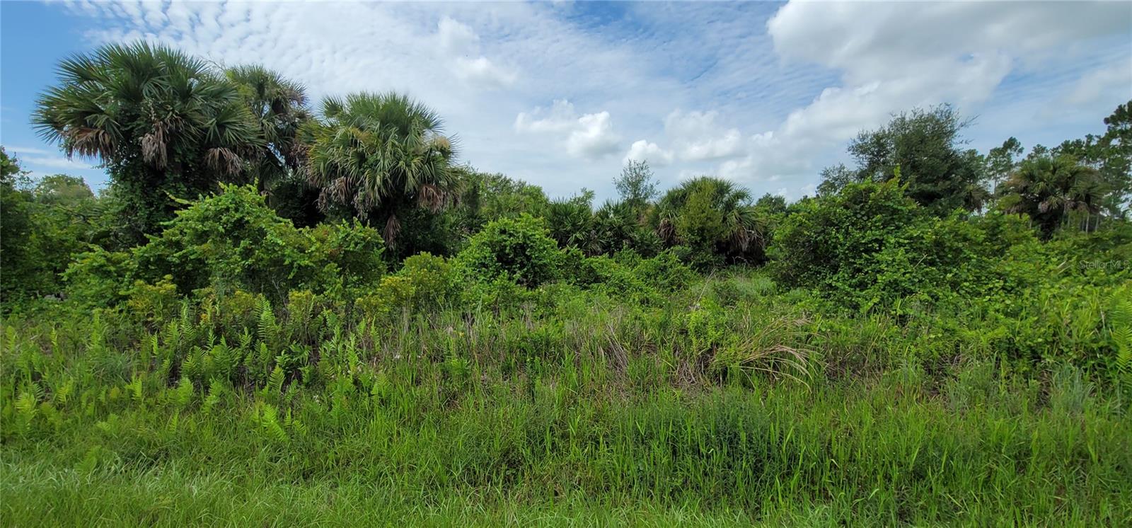 SOUTHERN COLONIZATION CO - Land