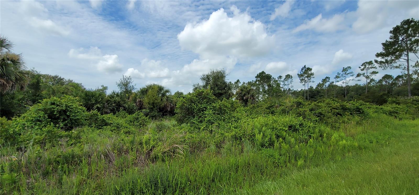 SOUTHERN COLONIZATION CO - Land