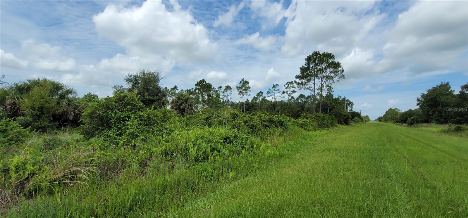 1.25 Acres of Vacant Land for Sale in Okeechobee – Motivated Seller!

Don't miss this incredible opportunity to own **1.25 acres of residential farmland** in the peaceful countryside of Okeechobee! The seller is highly motivated, making this an excellent opportunity for homeowners, investors, or anyone looking to build their dream retreat.

This **high and dry, unimproved lot** offers the perfect setting to build your custom home, weekend getaway, or country retreat surrounded by Florida's natural beauty. Enjoy wide-open spaces, fresh air, and the tranquility of rural living while still being within reach of outdoor recreation and local conveniences.

Located in the heart of Okeechobee County, just **15 minutes from Kissimmee Prairie Preserve State Park**, this property provides easy access to a variety of outdoor activities including hunting, fishing, boating, farming, horseback riding, hiking, wildlife viewing, and scenic nature trails.

Whether you're looking to escape the city, invest in land, or create your own private oasis, this property offers endless possibilities.

?? **1.25 Acres**
?? **High & Dry Residential Farmland**
?? **Build Your Dream Home or Weekend Retreat**
?? **Motivated Seller!**

Contact me today for more information or to schedule a visit to this beautiful property before it's gone!