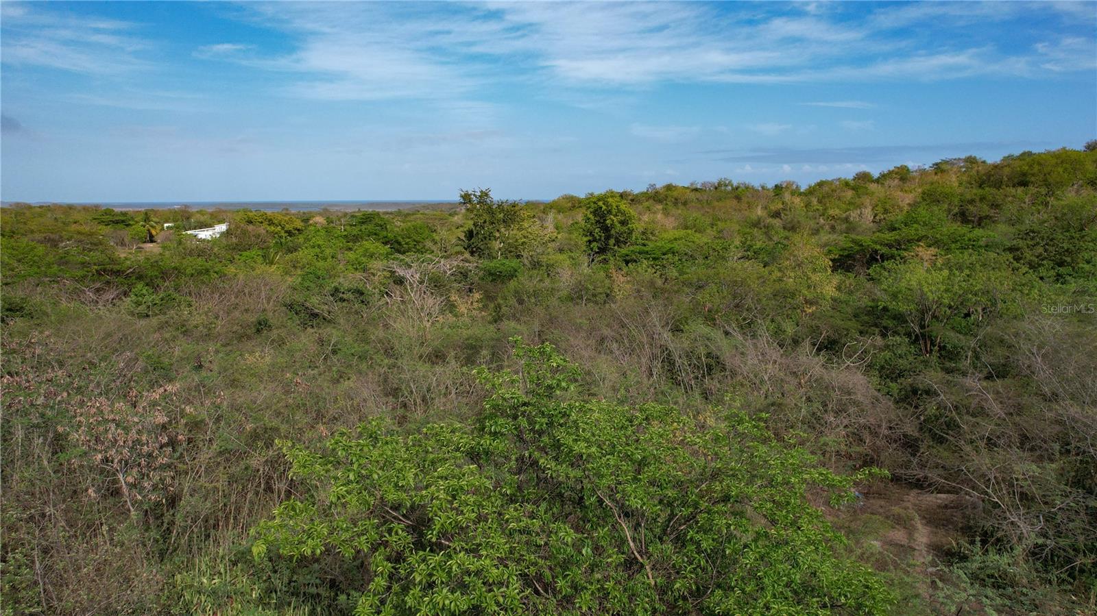La cuenca is 3.29 acres of land located in the magical neighborhood of El Pilón.  Plenty of space to build a home in a quiet setting.  The land has a very lovely creek and a number mature trees.  The plot is adjacent to our “Casa Eugenia” listing and can be purchased together.