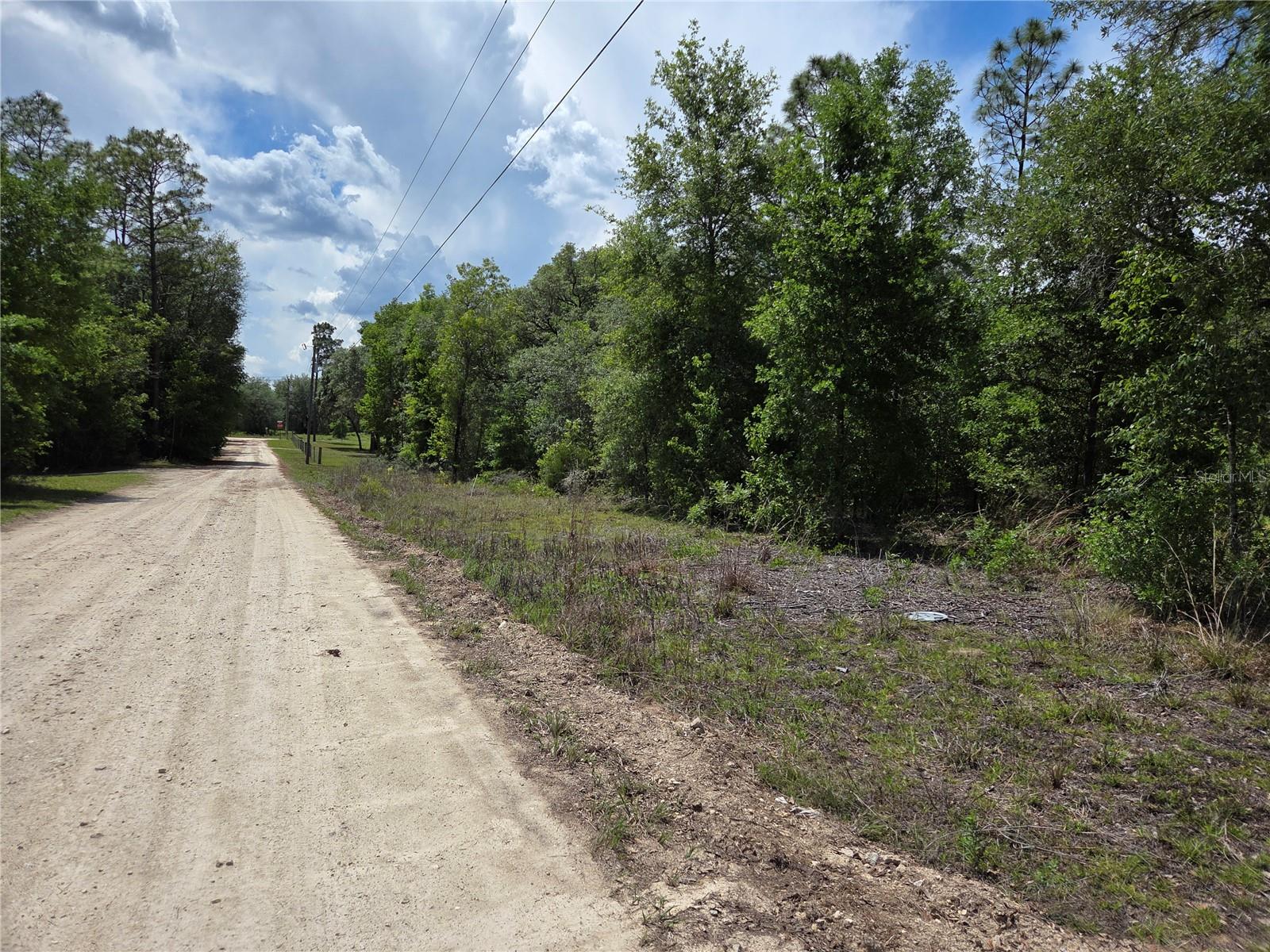 RURAL RESIDENTIAL 2.5 BEAUTIFUL ACRES IN BRONSON.  High and dry, no flood zone. and no HOA. Site built or manufactured homes are welcome. Just a couple lots from a paved road. Beautiful oak trees line the road. Secluded and private. Just minutes to shops in Bronson or Williston. Electric at both ends of the 2.5 acres. Schools, salons, restaurants are close by along with equestrian events at Black Prong Equestrian Village, HITS and WEC.