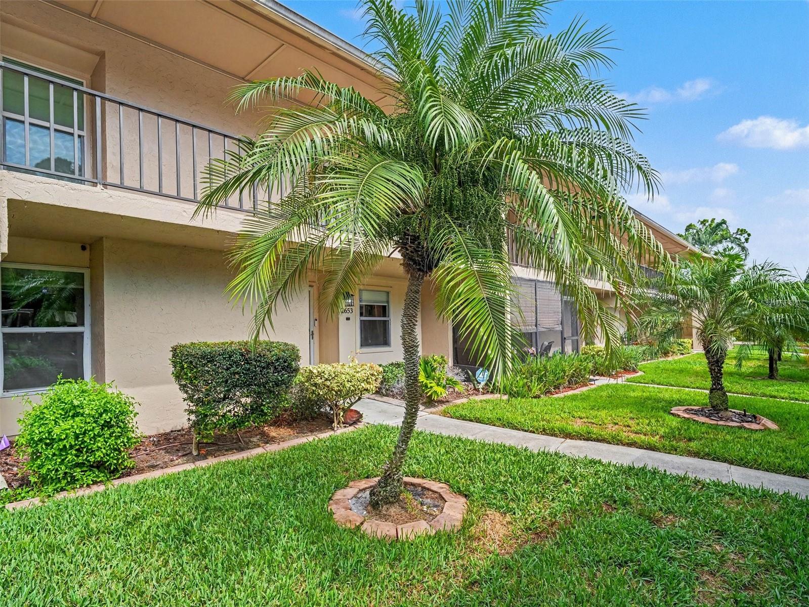 PINEWOOD VILLAGE V - Residential