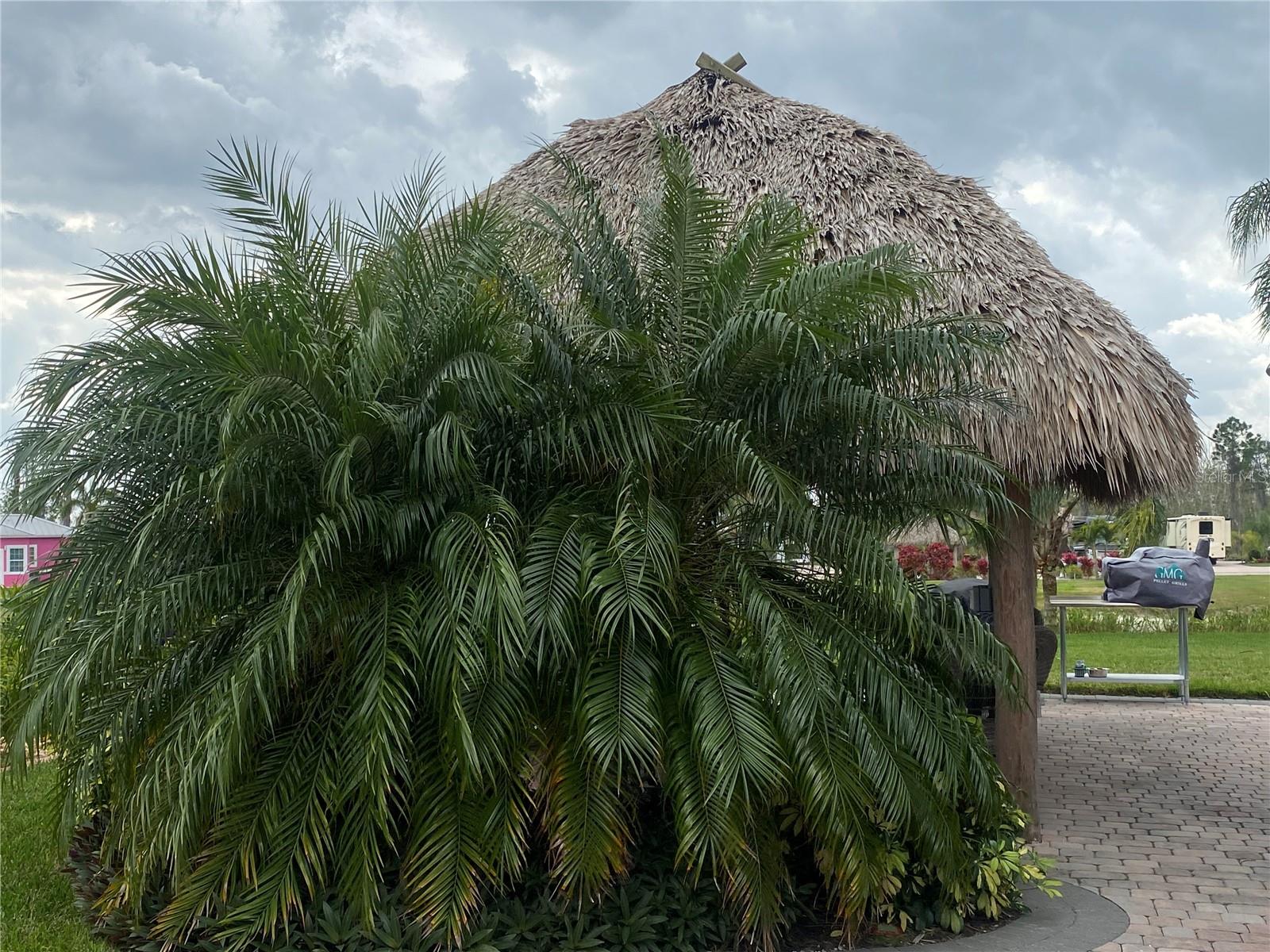 BAY LAKE RESIDENCE - Land