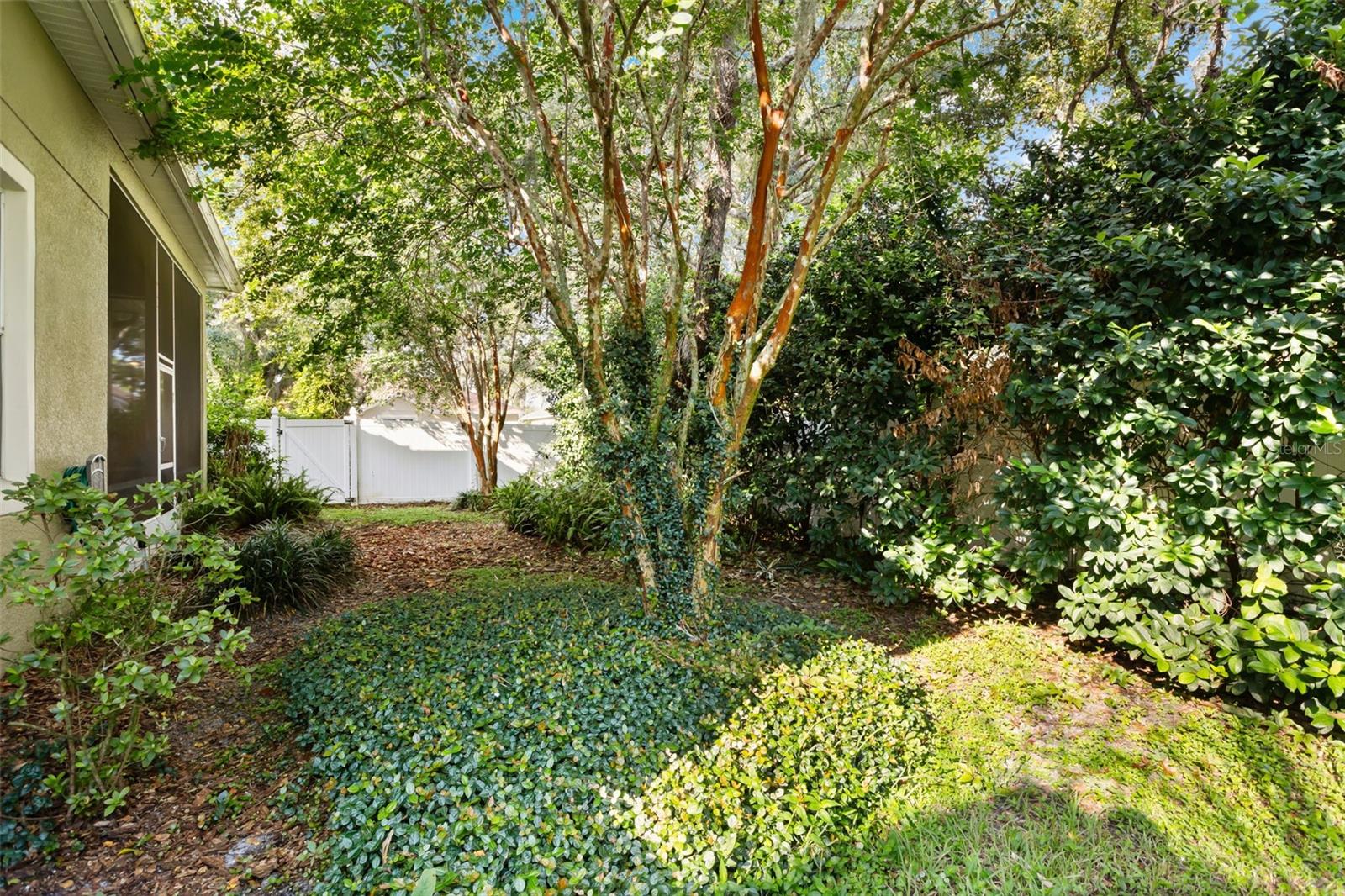LIVE OAK RESERVE UNIT ONE - Residential Lease