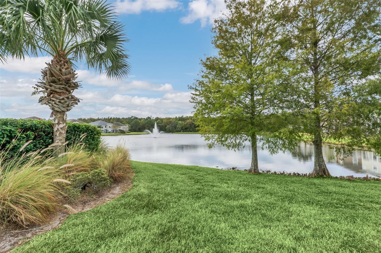 CARTER GLEN - Residential