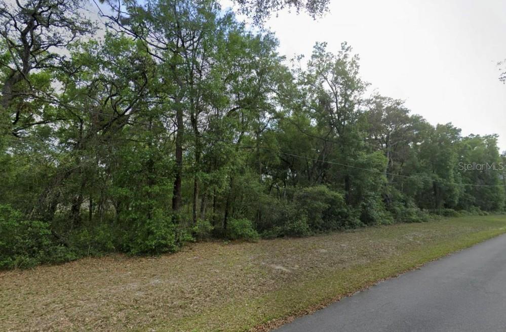 Build Your Florida Dream!

Discover the perfect canvas for your future home on this beautiful vacant lot located on SE 59th Pl in the peaceful community of Ocklawaha. Offering .30 acres of natural Florida landscape, this property provides the ideal balance of privacy and convenience.

Surrounded by the natural beauty of Marion County, you'll be just a short drive away from the stunning Ocala National Forest, the famous Ocklawaha River, and the recreational waters of Lake Weir—perfect for boating, fishing, and outdoor enthusiasts! Enjoy the tranquility of rural living while still being within comfortable reach of local shops, dining, and the growing amenities of nearby Ocala and The Villages.

Zoned R-1, Site- built homes only. NO MOBILE HOMES and NO HOA!

Don't miss out on this fantastic opportunity to secure your own slice of Central Florida paradise. Drive by and envision the possibilities today!