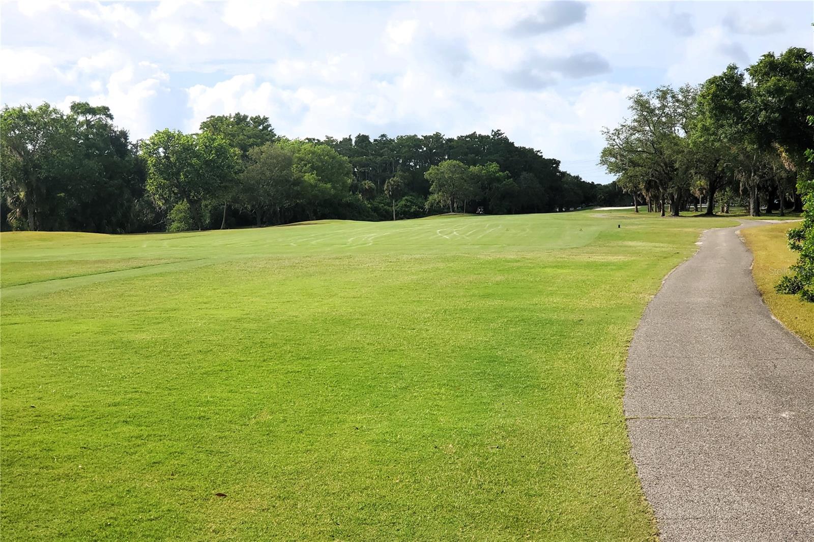 EAST LAKE WOODLANDS - Residential