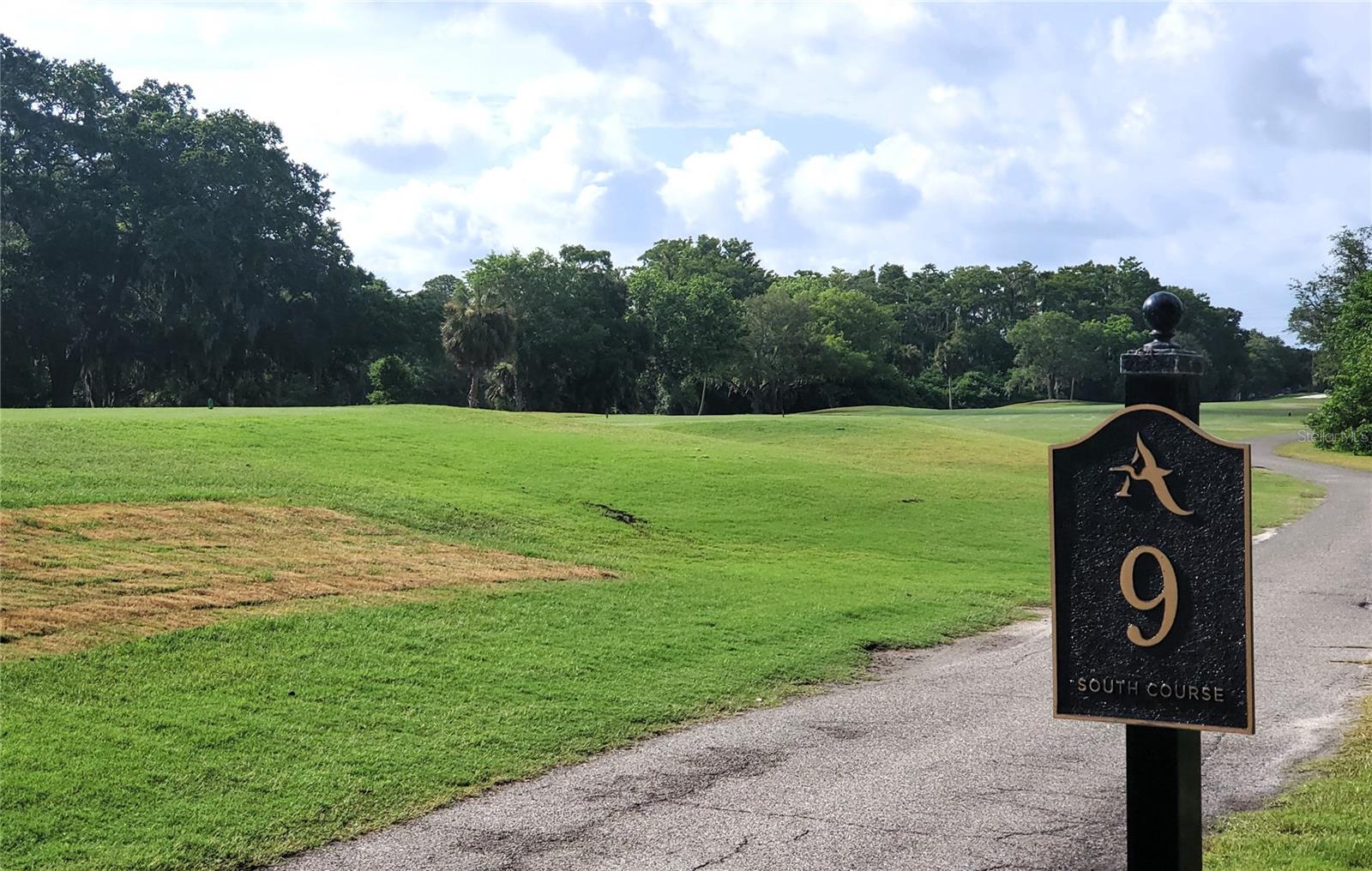 EAST LAKE WOODLANDS - Residential