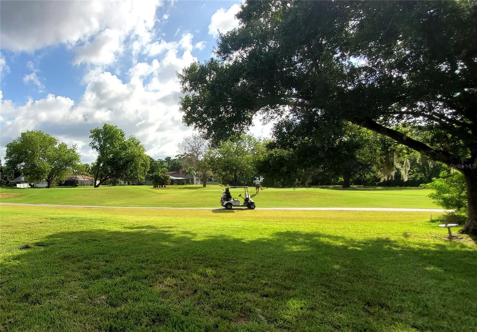 EAST LAKE WOODLANDS - Residential