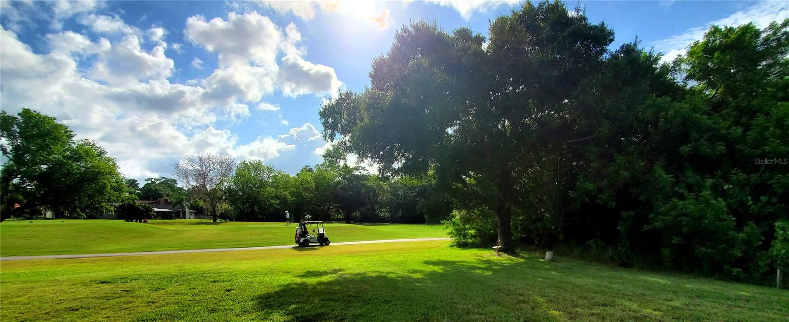 EAST LAKE WOODLANDS - Residential