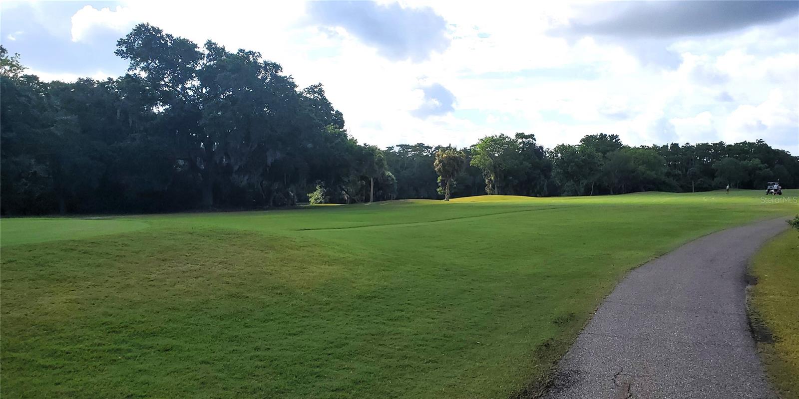 EAST LAKE WOODLANDS - Residential
