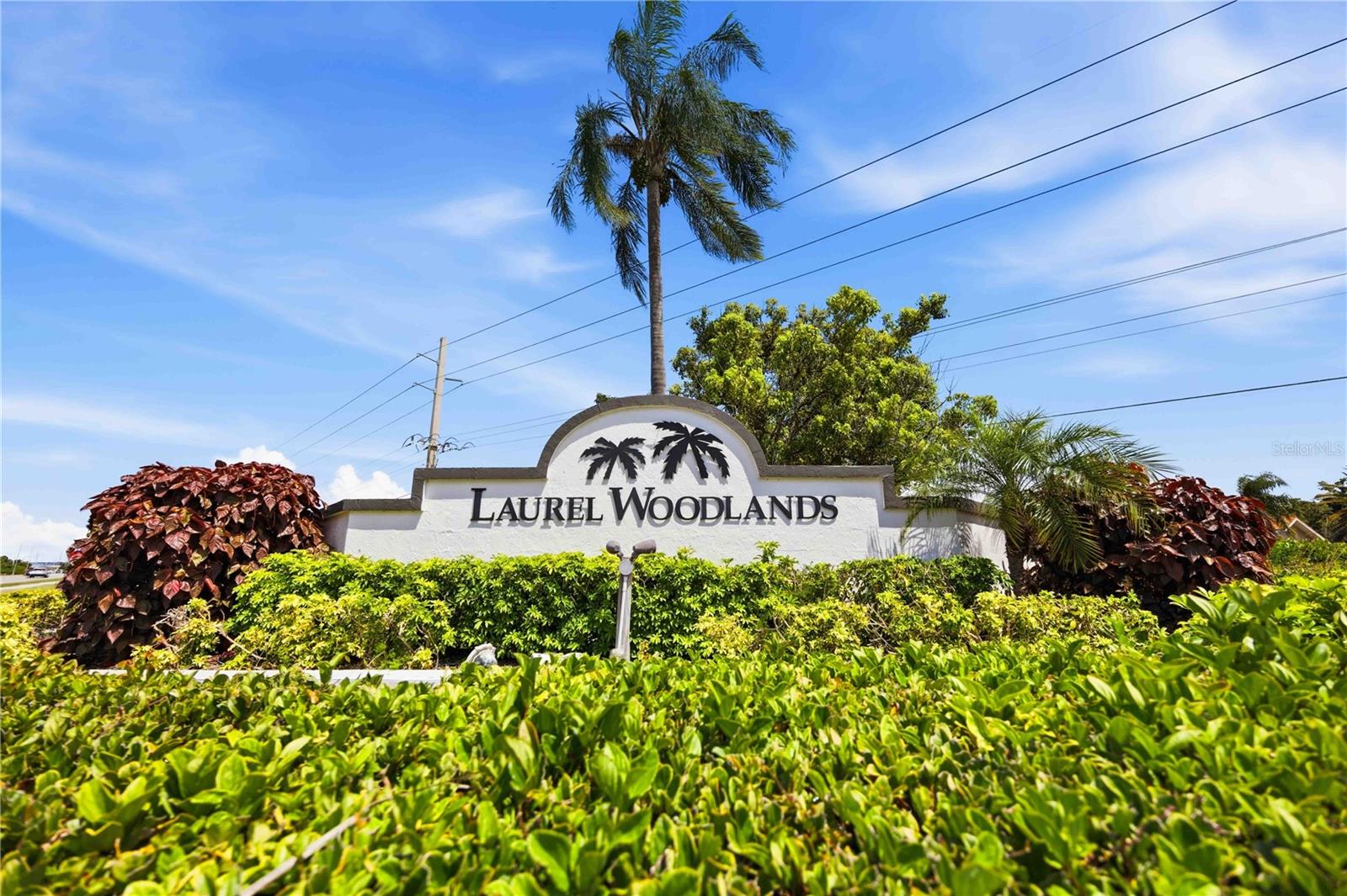 LAUREL WOODLANDS - Residential