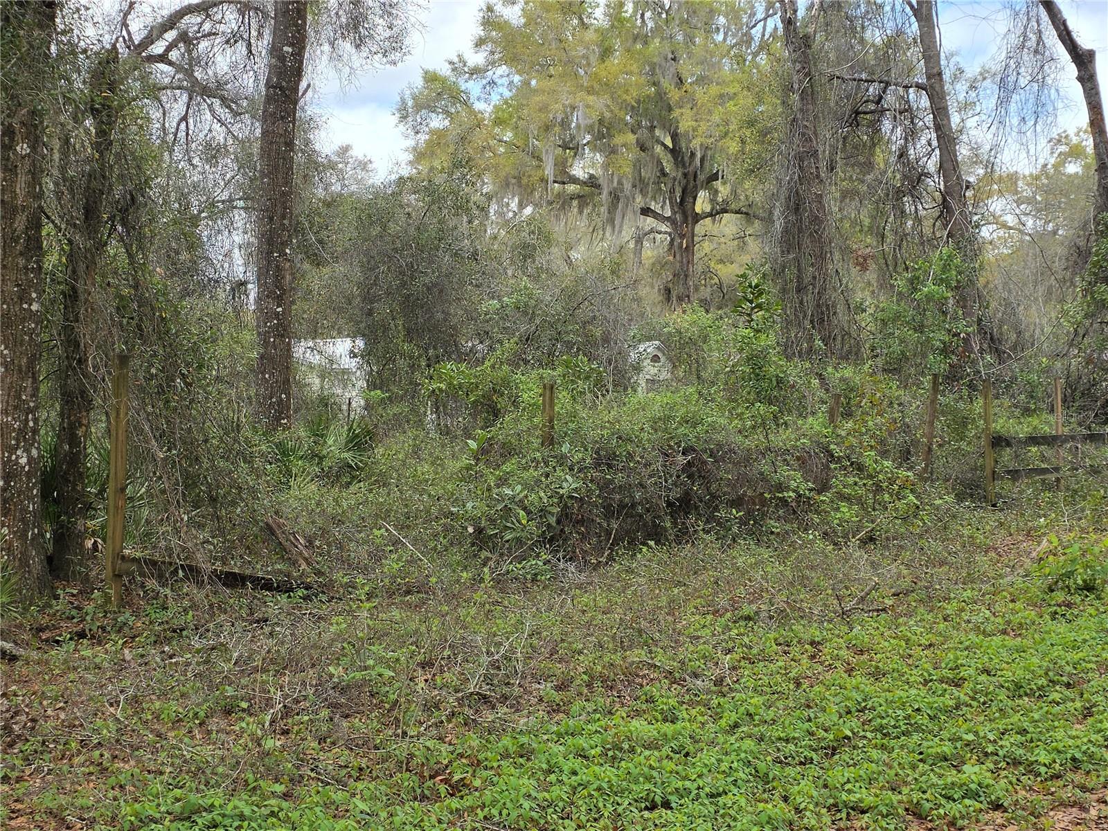 SILVER SPGS ACRES - Land
