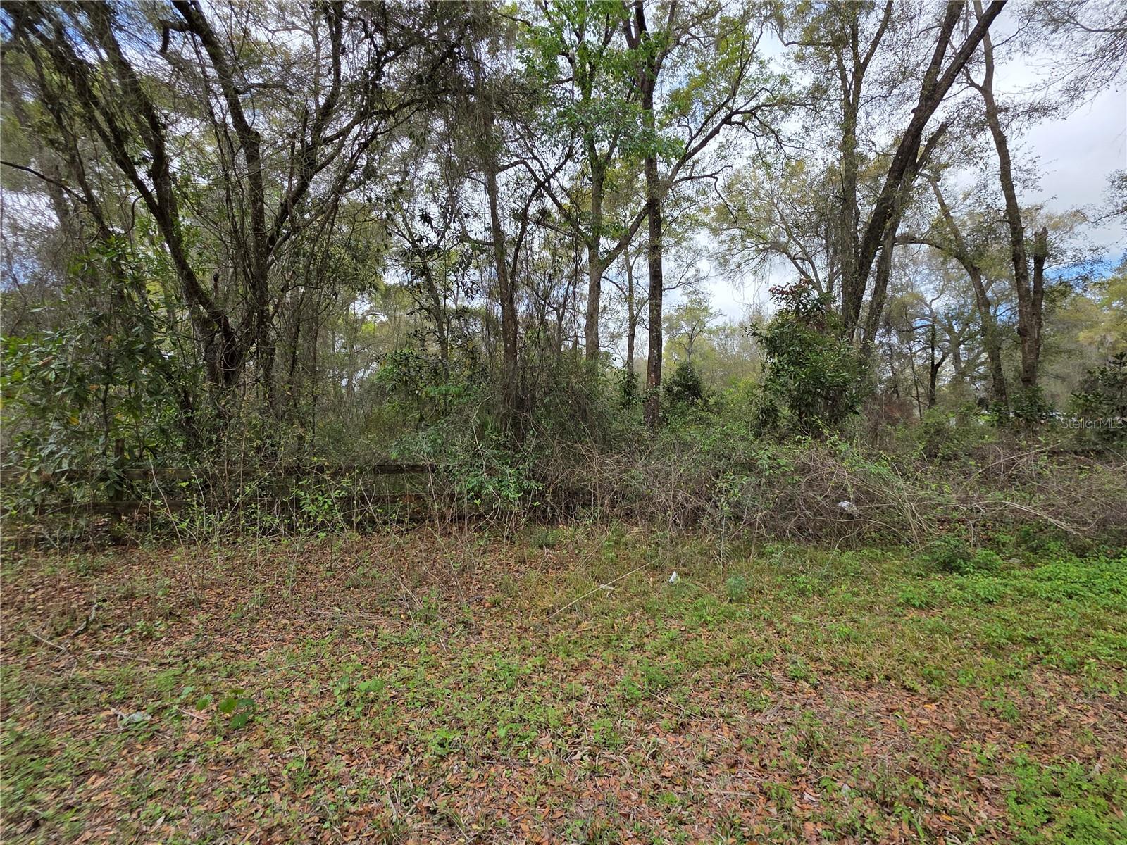 SILVER SPGS ACRES - Land