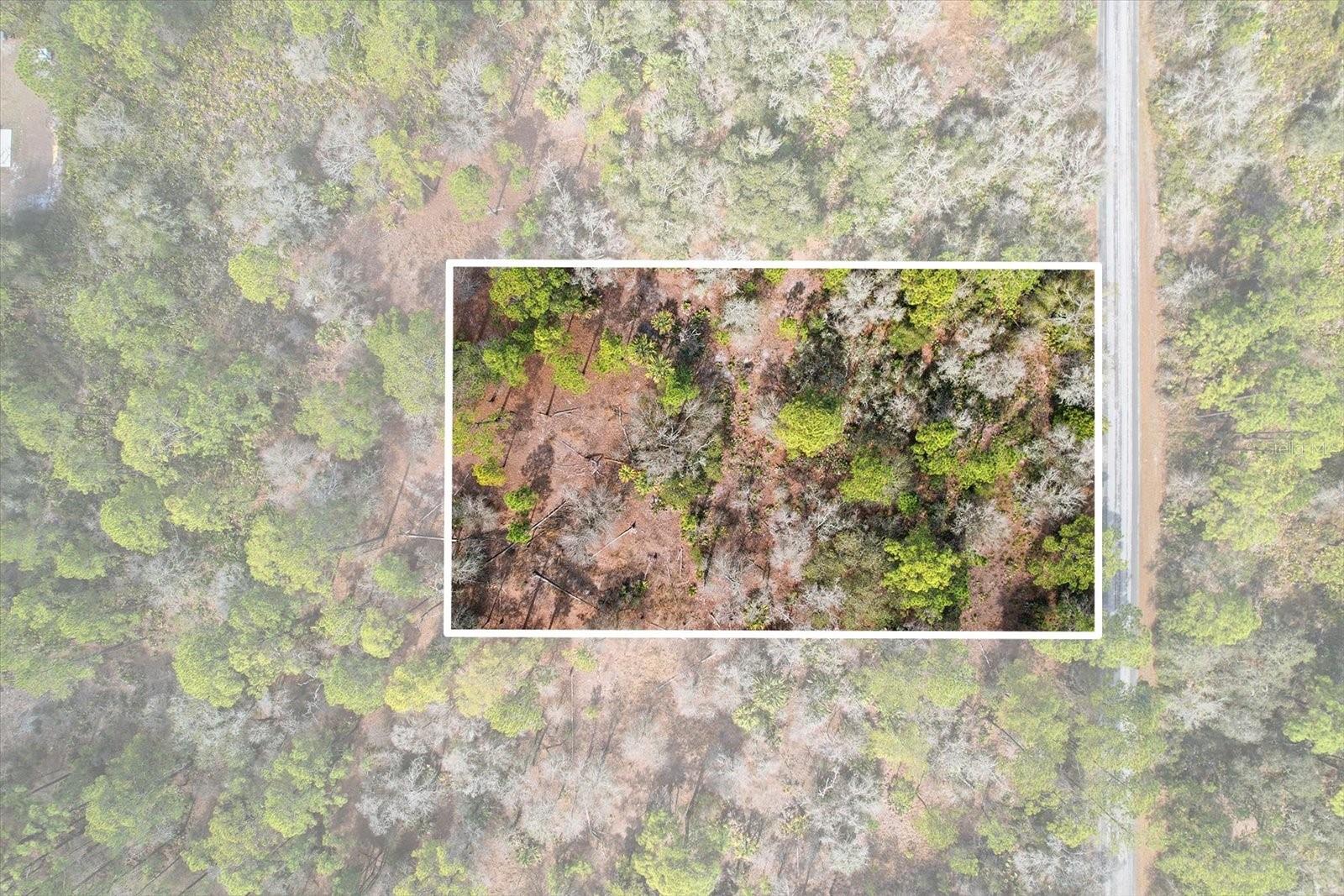 Take a look at this beautiful lot in Crystal River. This parcel offers 1.16 acres of peace and serenity and is ready to build your new dream home. Just 6 miles to the Gulf of America for any of your salt water activities. Enjoy warm sunny Florida all year long!