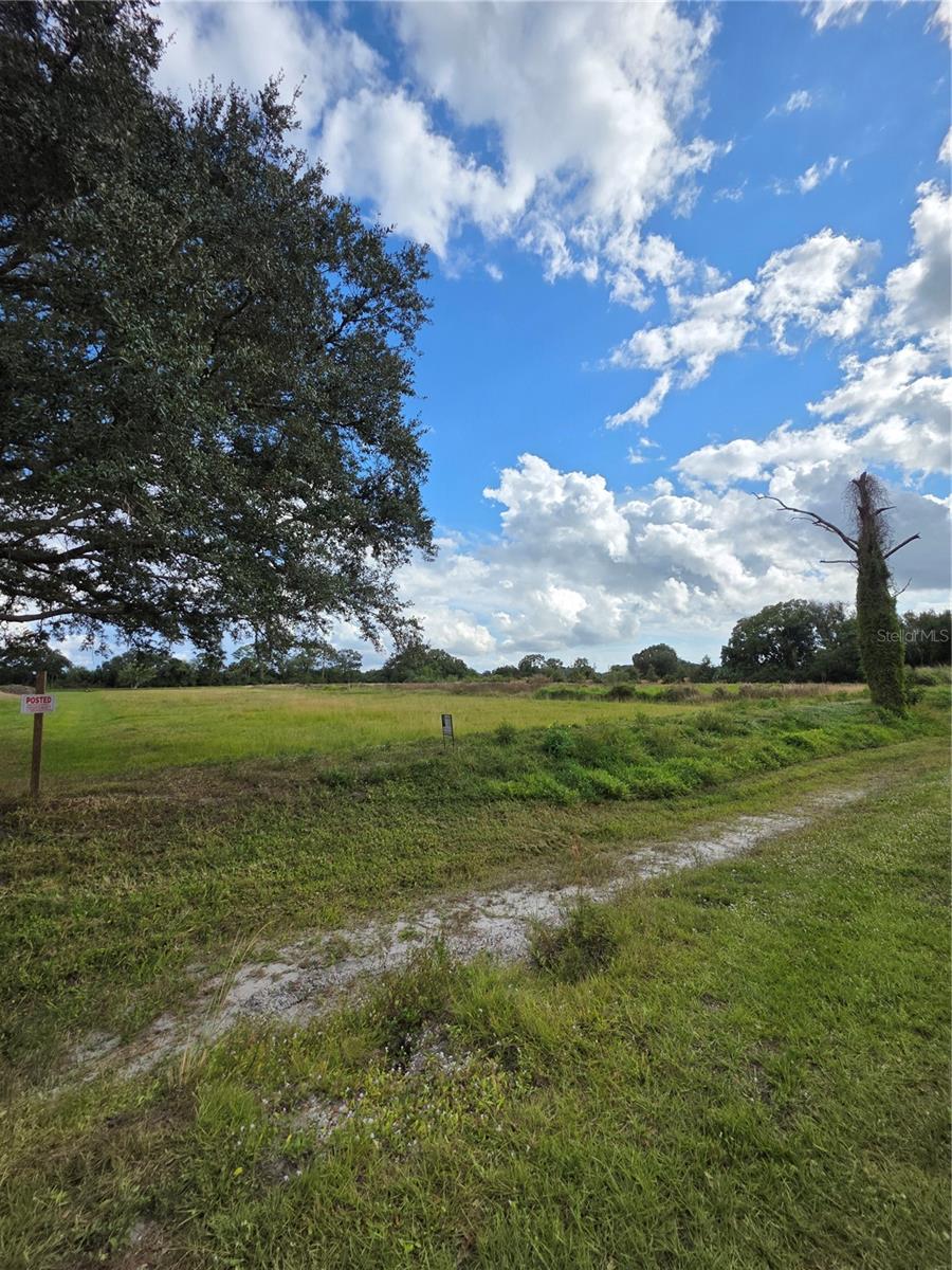 SAWGRASS ESTATES - Land
