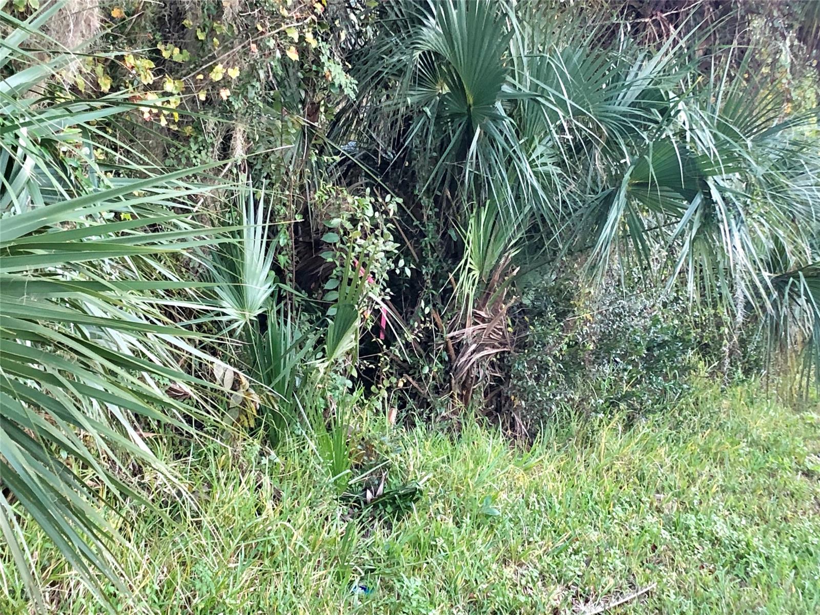 PRICE REDUCED!!!!!  PERFECT EDGEWATER LOCATION to build! Large 1/2 are lot on the corner of Arthur and 27th! 165 x 134 dimensions per new boundary survey! Lot has partial road clearing off Arthur/27th.  Parcel 8402-00-00-0540.  Close to shopping centers and less than 1 mile to the intra-coastal waterway.  NO HOAs! The additional nice perk with owning this property is that there’s a 38 x 138 ft easement next to this lot that can not be built on so this 1/2 acre appears much larger than it is!  Take advantage of not having a neighbor right on your property line.  Sellers have legal paperwork showing history of this easement that they will give to buyer.  


All information intended to be accurate but not guaranteed.; Cleared: No ;Water: City