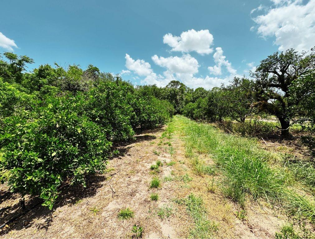 LAKE PERSIMMON - Residential