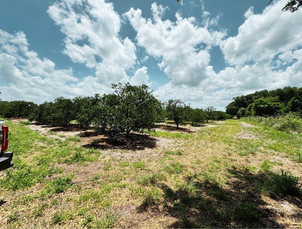 LAKE PERSIMMON - Residential