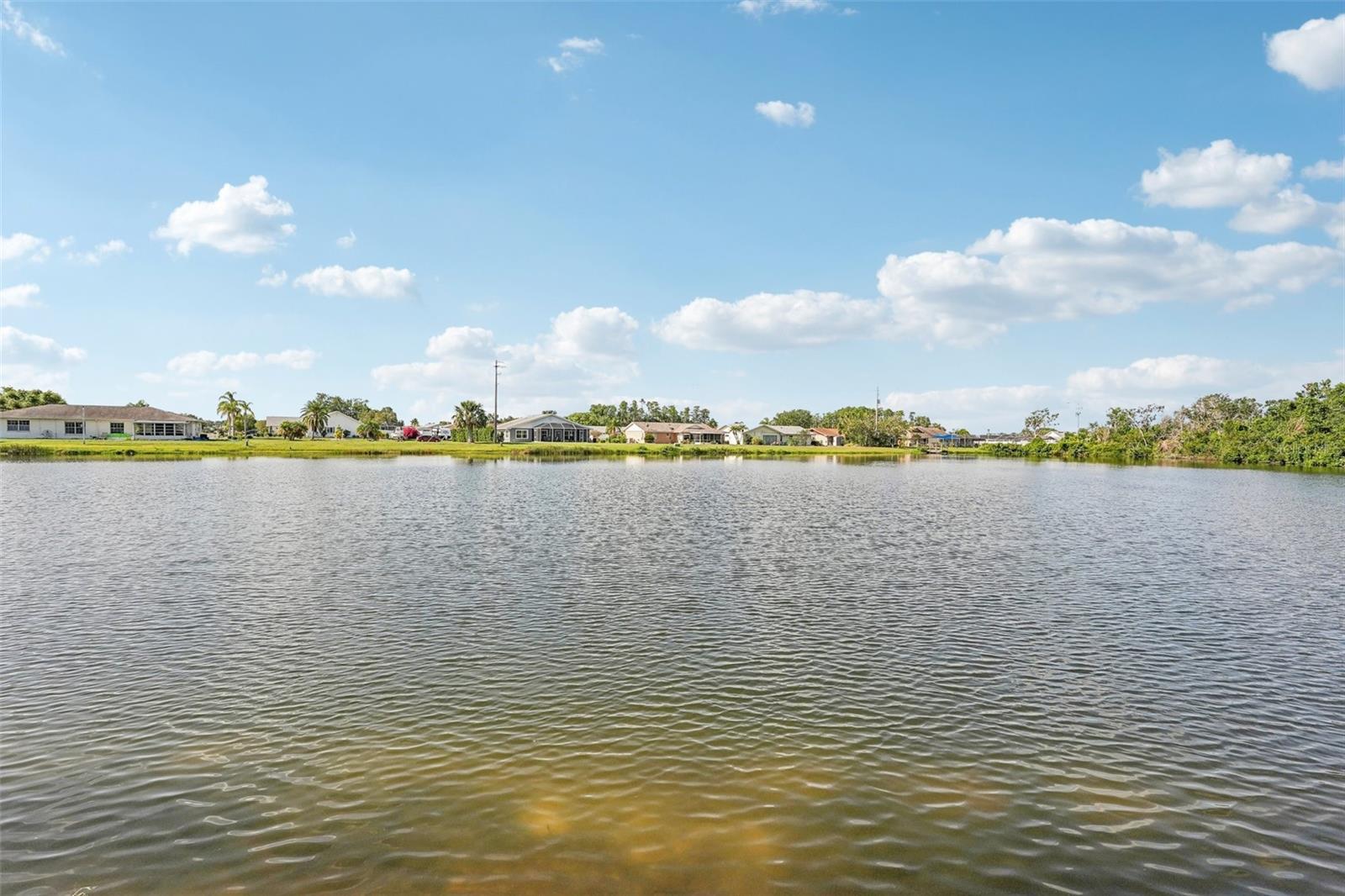 CYPRESSVIEW PH 1 UNIT 1 - Residential