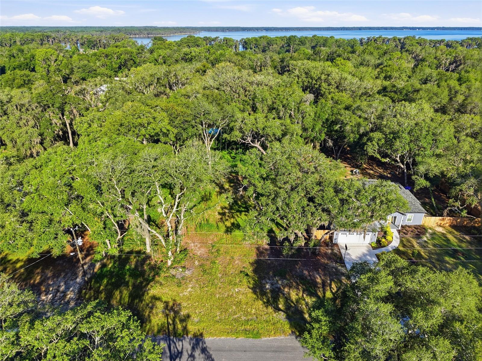 SEMINOLE RIDGE #5 - Land