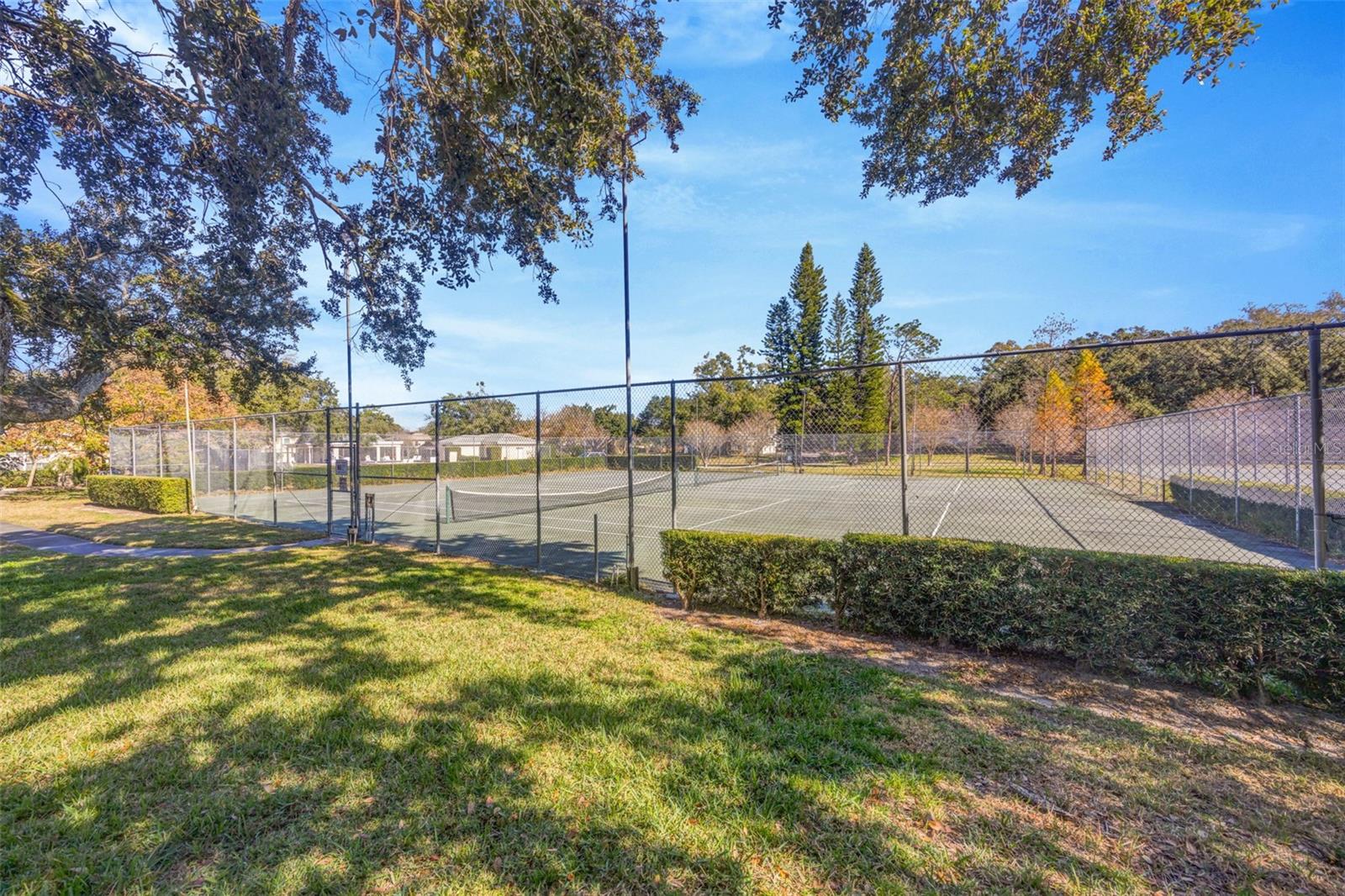 RAINTREE MANOR HOMES CONDOMINI - Residential