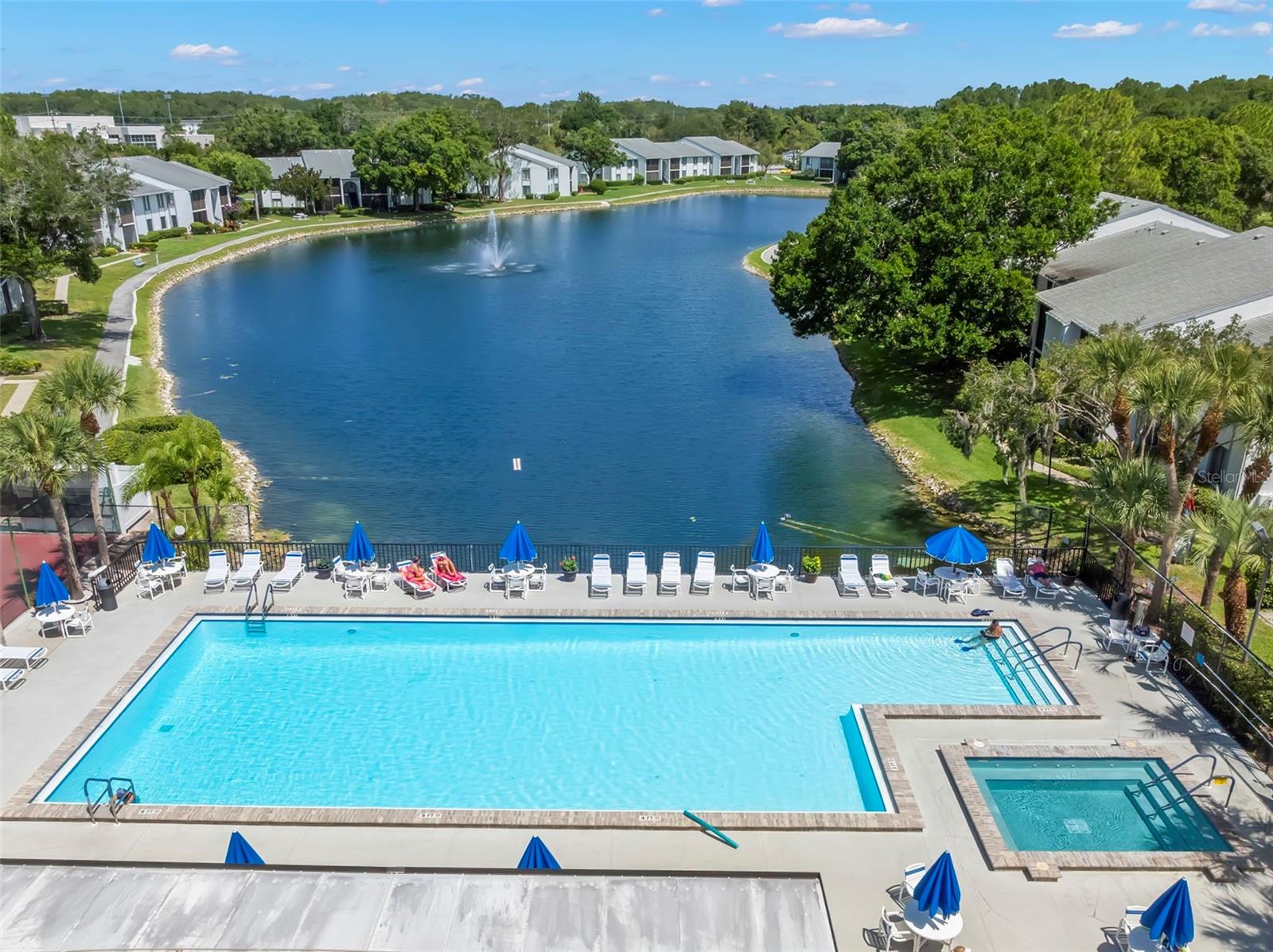 PINE RIDGE AT LAKE TARPON VILLAGE - Residential
