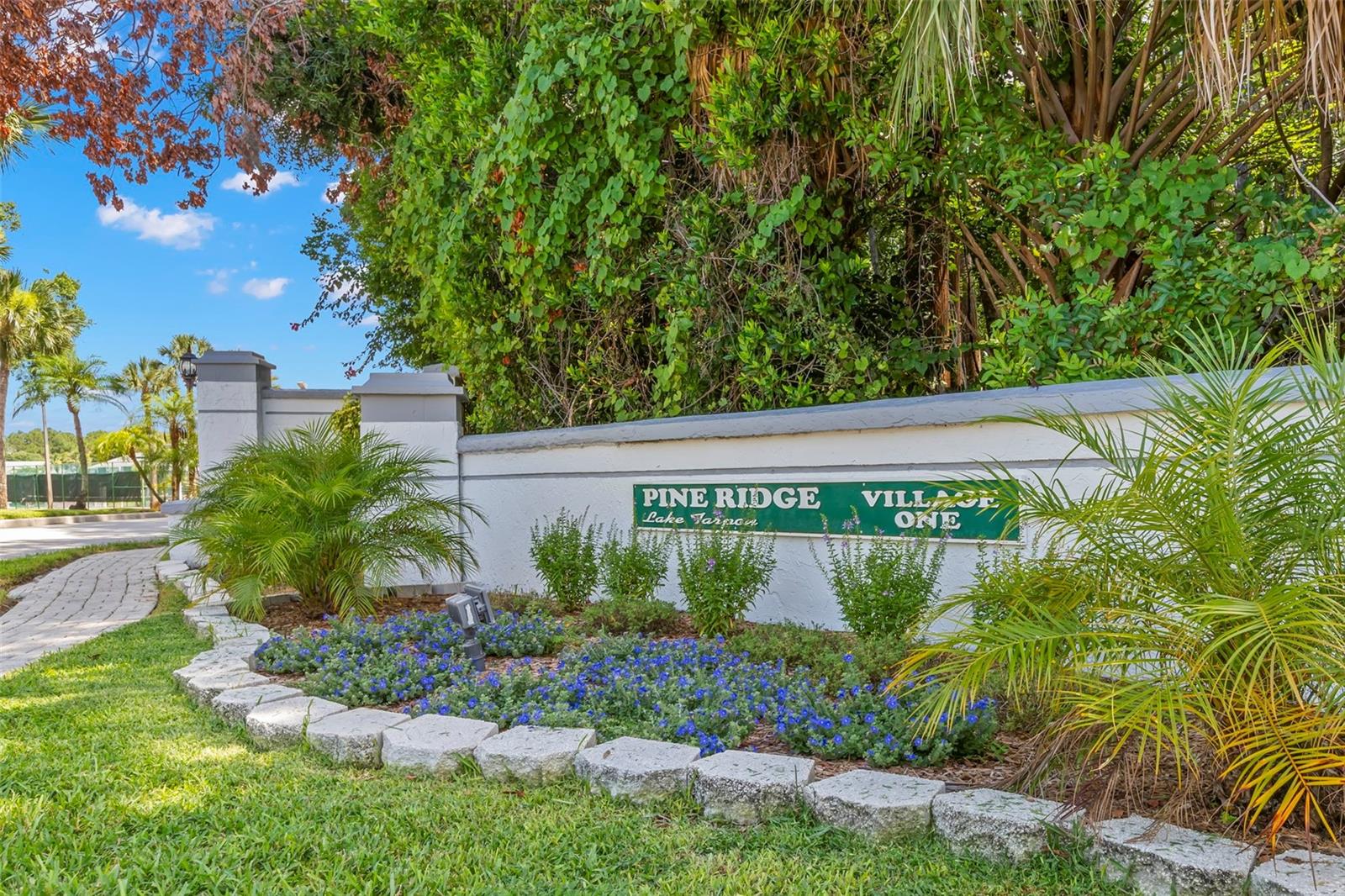 PINE RIDGE AT LAKE TARPON VILLAGE - Residential