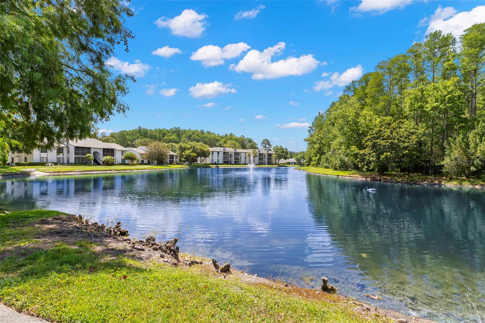 PINE RIDGE AT LAKE TARPON VILLAGE - Residential