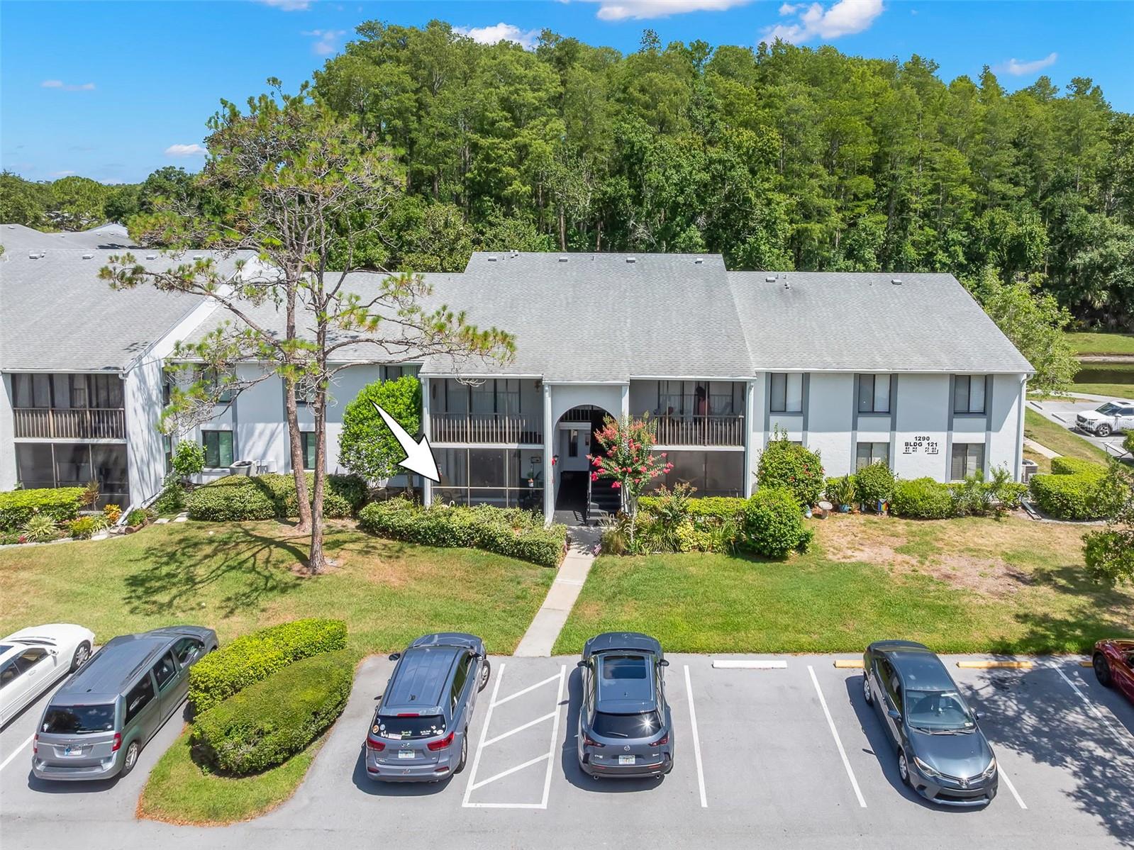 Welcome to the quintessential Florida lifestyle in the beautifully maintained Pine Ridge at Lake Tarpon community. Surrounded by mature trees, scenic lakes, and lush tropical landscaping, this inviting ground-floor condominium offers the perfect blend of comfort, convenience, and resort-inspired amenities in the heart of the East Lake corridor. Updates include: AC 2018, new flooring in kitchen 2026, painted interior 2023, all the carpet replaced 2023, and new ceiling fans 2023. 

Natural light fills the open living and dining areas of this one bedroom, one bath unit, while sliding glass doors lead to a screened porch overlooking landscaped grounds—a peaceful place to enjoy your morning coffee or unwind with the evening breeze. The thoughtfully designed floor plan includes a spacious bedroom with a walk-in closet, an adjoining bath with a generous vanity, and a dedicated interior laundry room with a stackable washer and dryer.

The kitchen is designed for efficiency with abundant cabinetry, generous counter space, durable laminate flooring, a breakfast bar, and an open pass-through that keeps you connected to the living and dining areas.

HOA fee includes: Cable TV, Internet, Water, Trash, Sewer, Exterior Insurance, Ground Maintenance, and all the amenities! 
Life at Pine Ridge extends far beyond your front door. Residents enjoy a heated pool and spa overlooking the community lake, tennis courts, a welcoming clubhouse, scenic walking paths, and beautifully maintained grounds centered around a sparkling fountain. Whether you're enjoying a swim, gathering with neighbors, or taking a peaceful stroll beneath mature trees, this community is designed to be enjoyed.


Conveniently located near shopping, restaurants, parks, Lake Tarpon, the Pinellas Trail, and the Gulf beaches, this move-in-ready home offers an exceptional opportunity to enjoy everything the Florida lifestyle has to give.