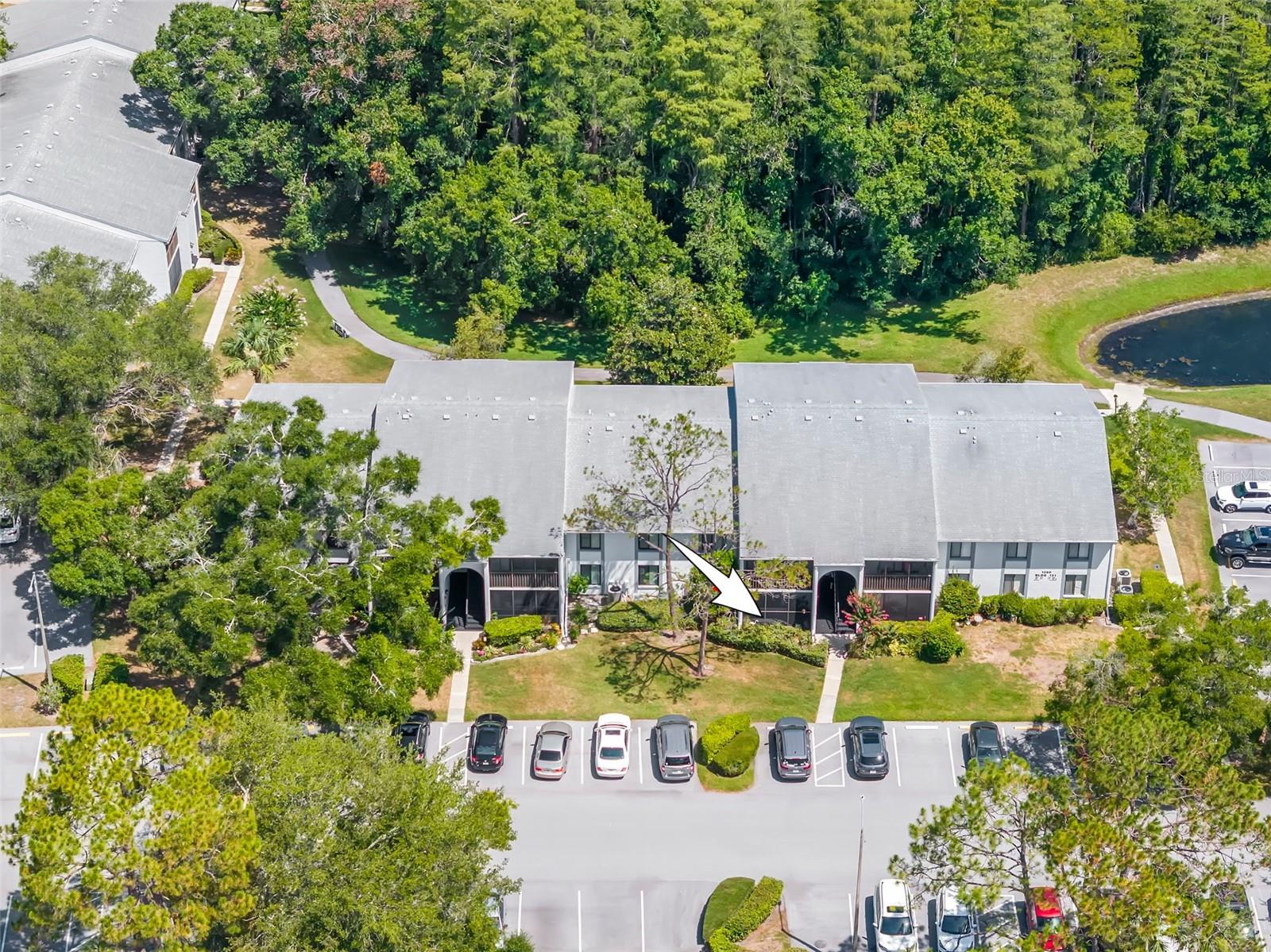 PINE RIDGE AT LAKE TARPON VILLAGE - Residential