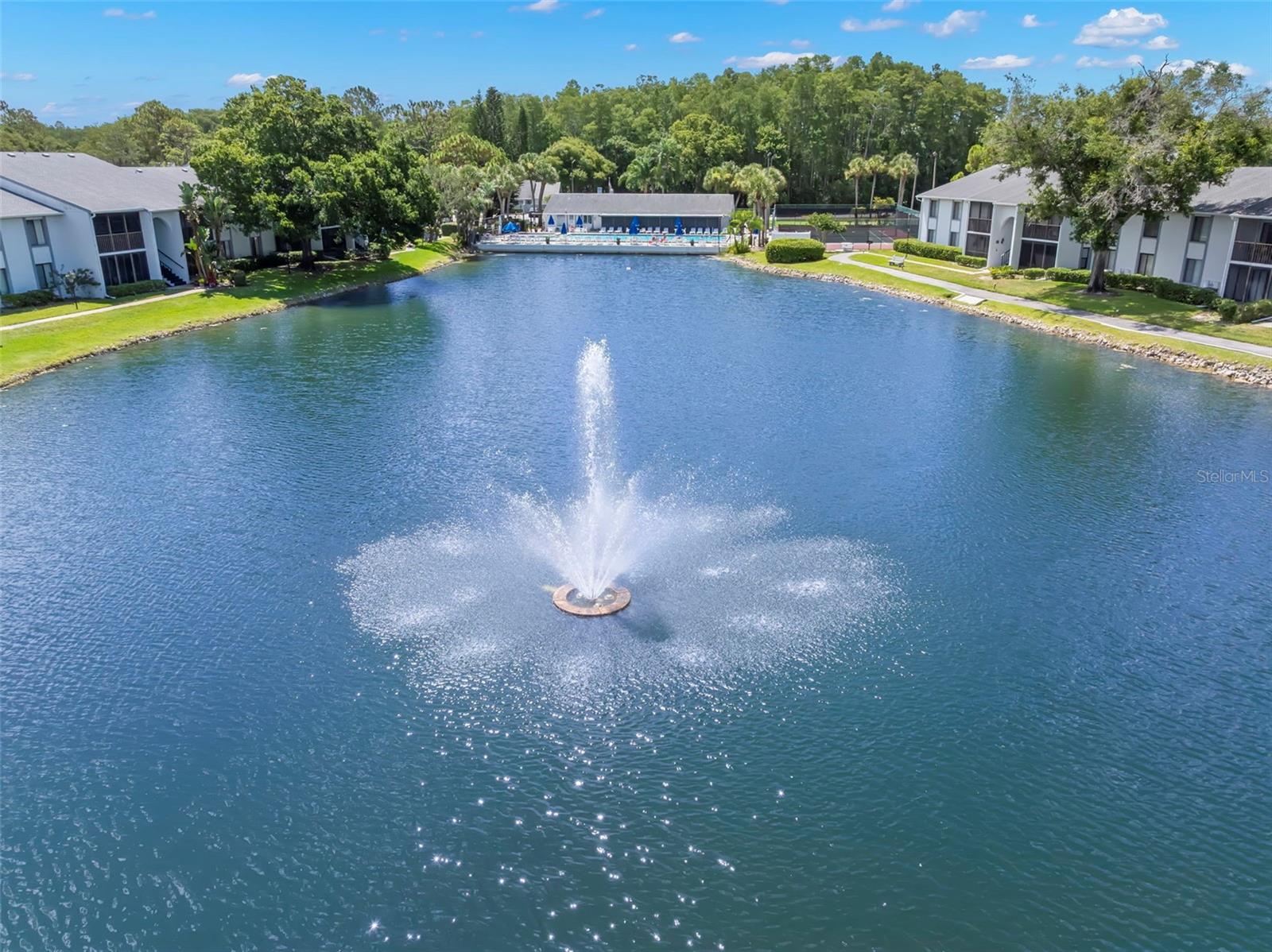PINE RIDGE AT LAKE TARPON VILLAGE - Residential