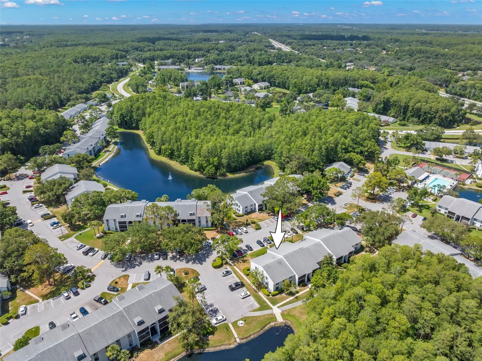 PINE RIDGE AT LAKE TARPON VILLAGE - Residential