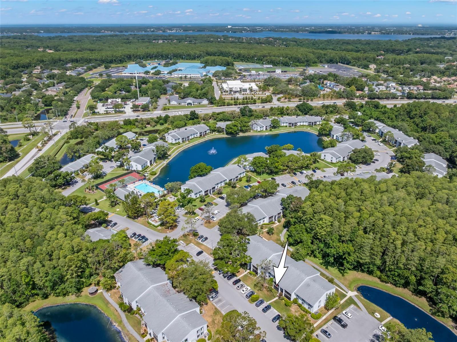 PINE RIDGE AT LAKE TARPON VILLAGE - Residential