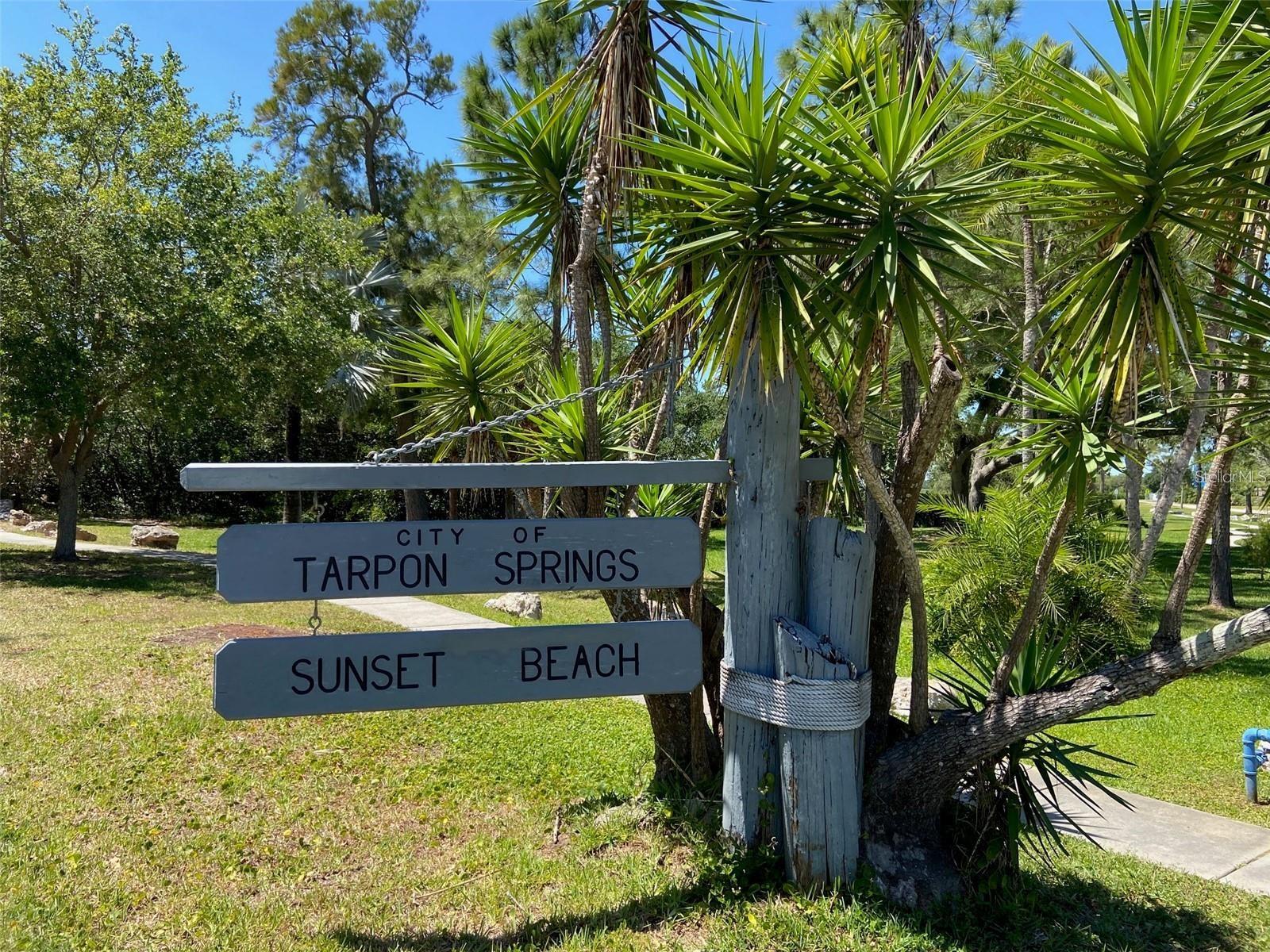 LAKE TARPON VILLAS CONDO - Residential