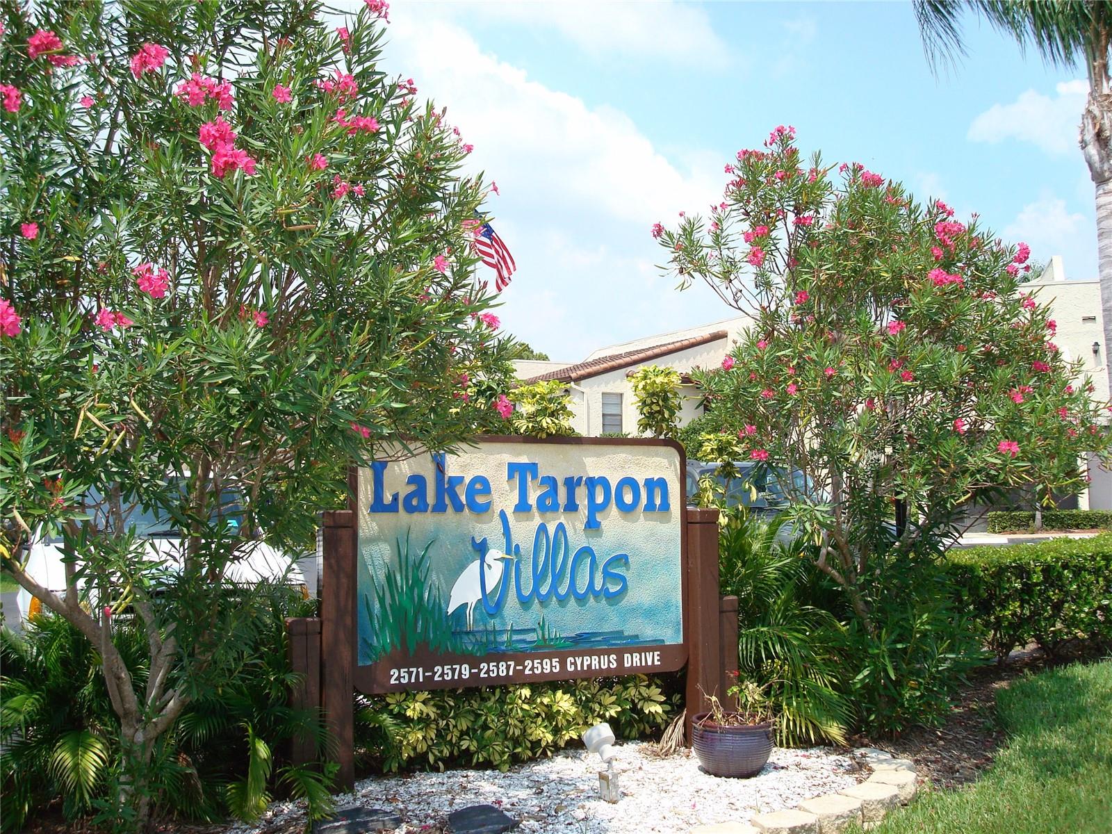 LAKE TARPON VILLAS CONDO - Residential