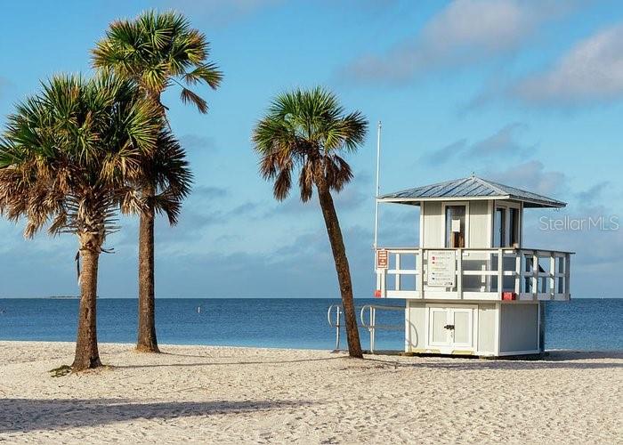 LAKE TARPON VILLAS CONDO - Residential