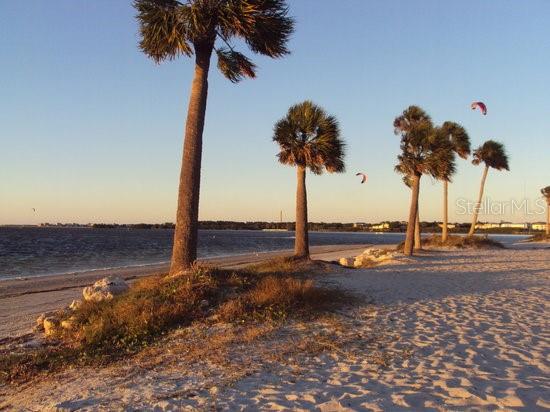 LAKE TARPON VILLAS CONDO - Residential