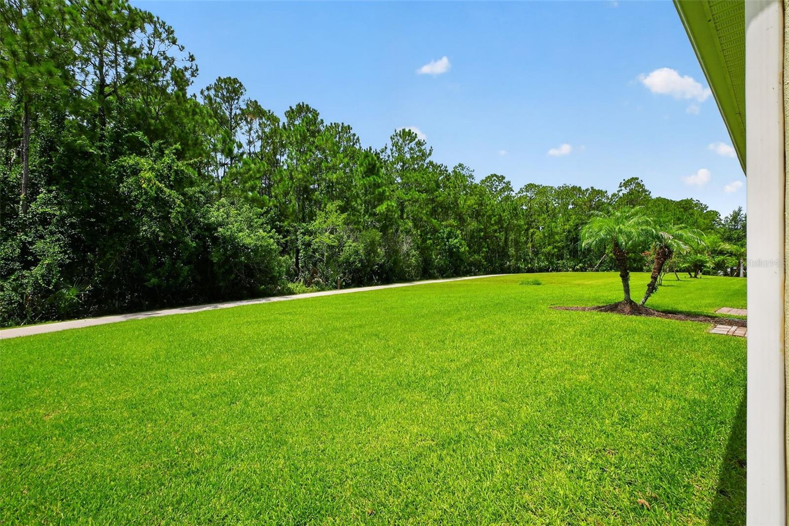 SAVANNAH POINTE - Residential