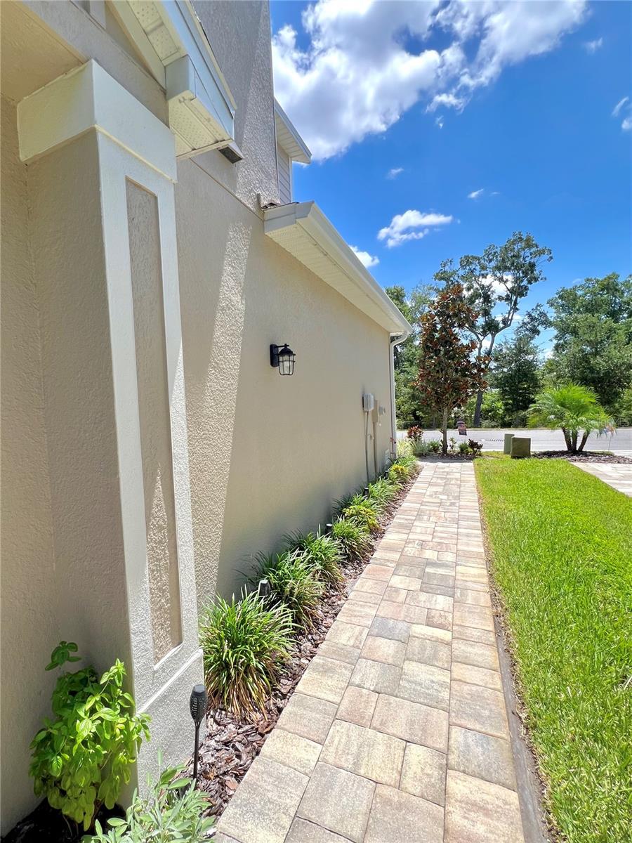 NORTH POINT OF PALM HARBOR - Residential