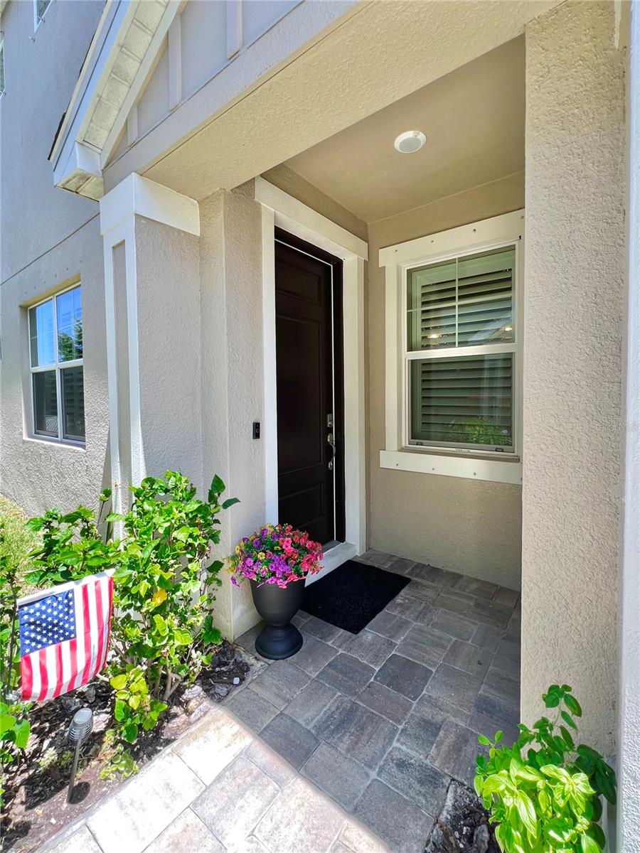 NORTH POINT OF PALM HARBOR - Residential