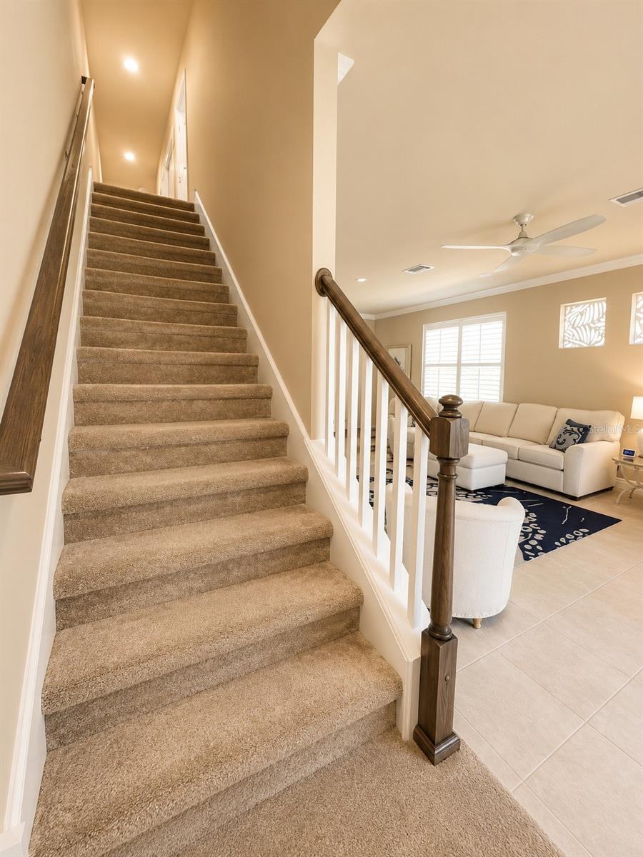 NORTH POINT OF PALM HARBOR - Residential