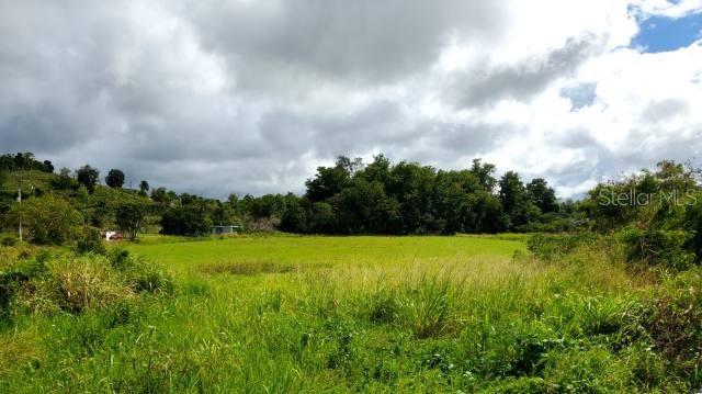 CAMUY PLAZA LAND - Commercial Sale