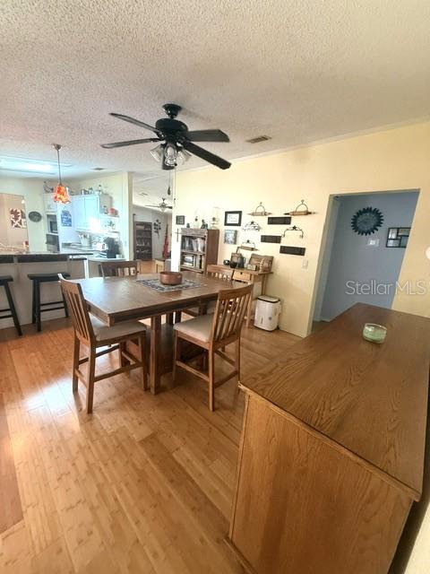 PARADISE ISLAND CO-OP INC - Residential