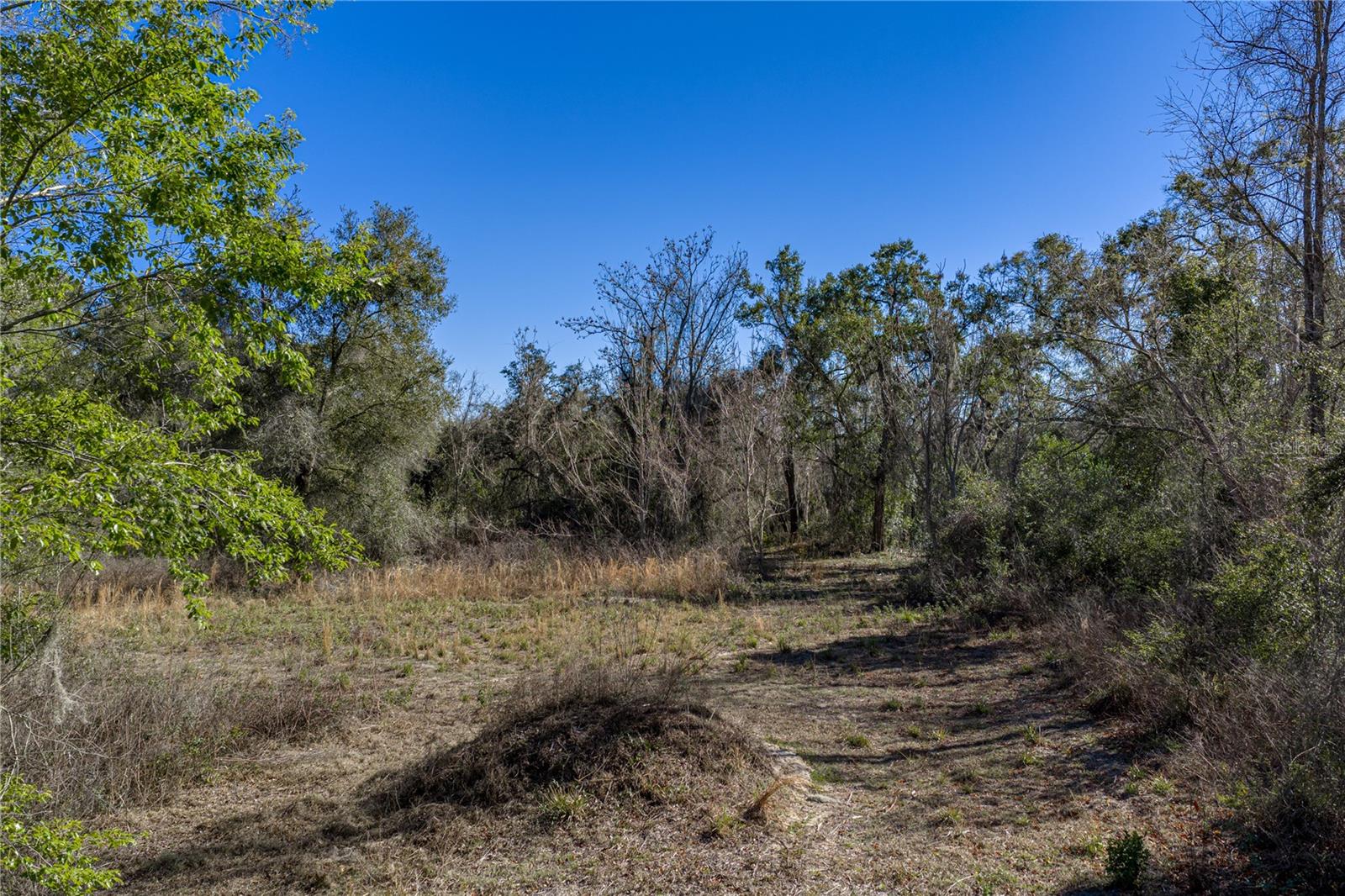 ACREAGE - Land