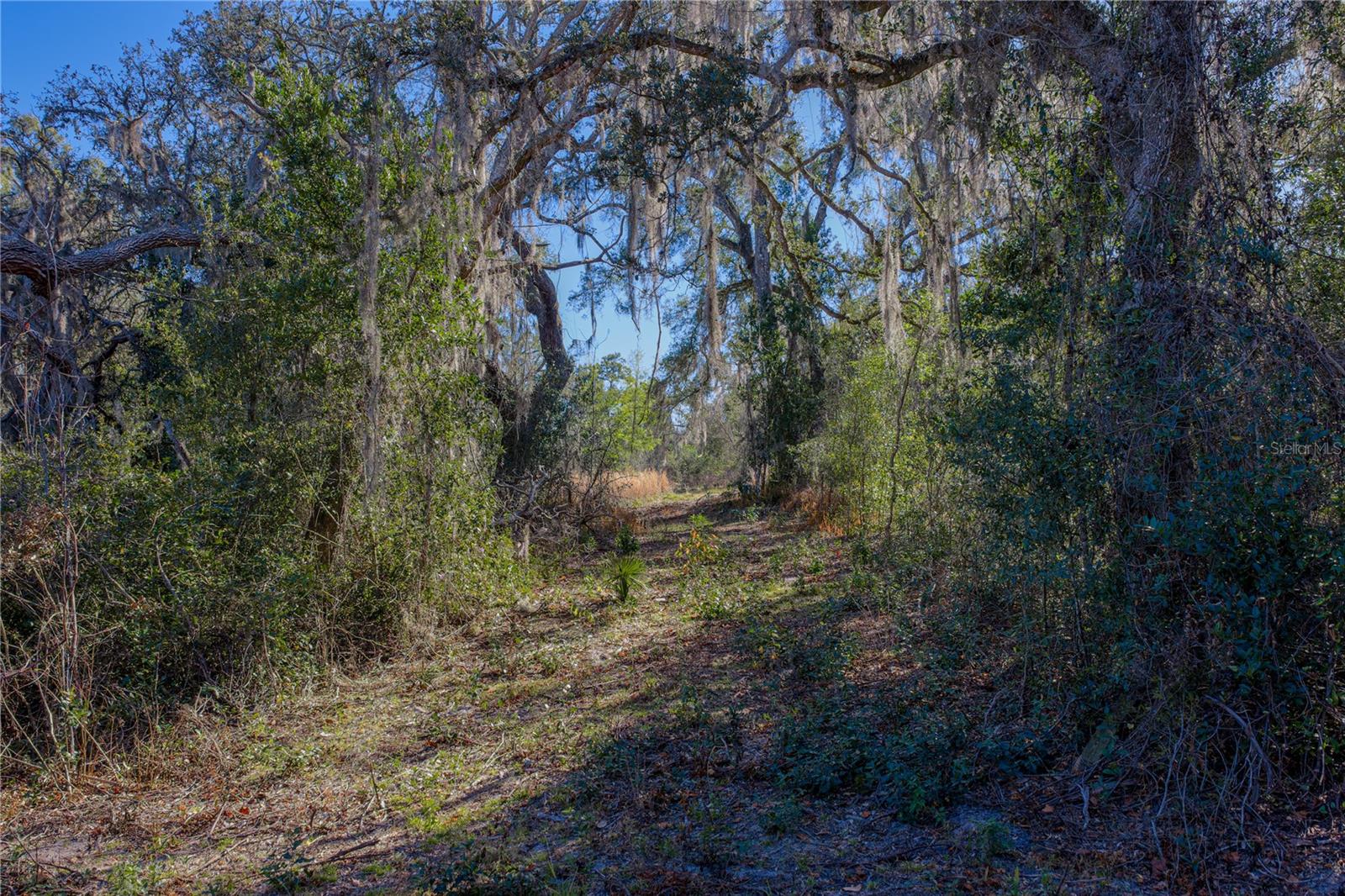 ACREAGE - Land
