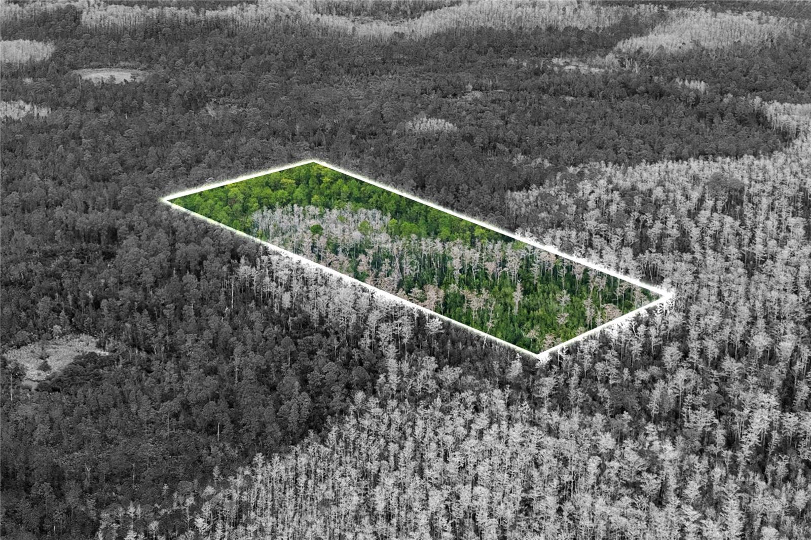 Great Investment Opportunity Awaits - 5.19 Acres, this property is located FOUR PARCELS back on Dill Road with no legal access.  Unimproved Land Zoned ORG-A-2 for Future Development. Buyer to verify all measurements, uses and restrictions. Buyers: we emphasize the importance of conducting thorough due diligence to ensure that the property meets your expectations and requirements. NOTE: This area is used as camping & hunting grounds. Lot lines shown in photos are estimated and cannot be relied on.